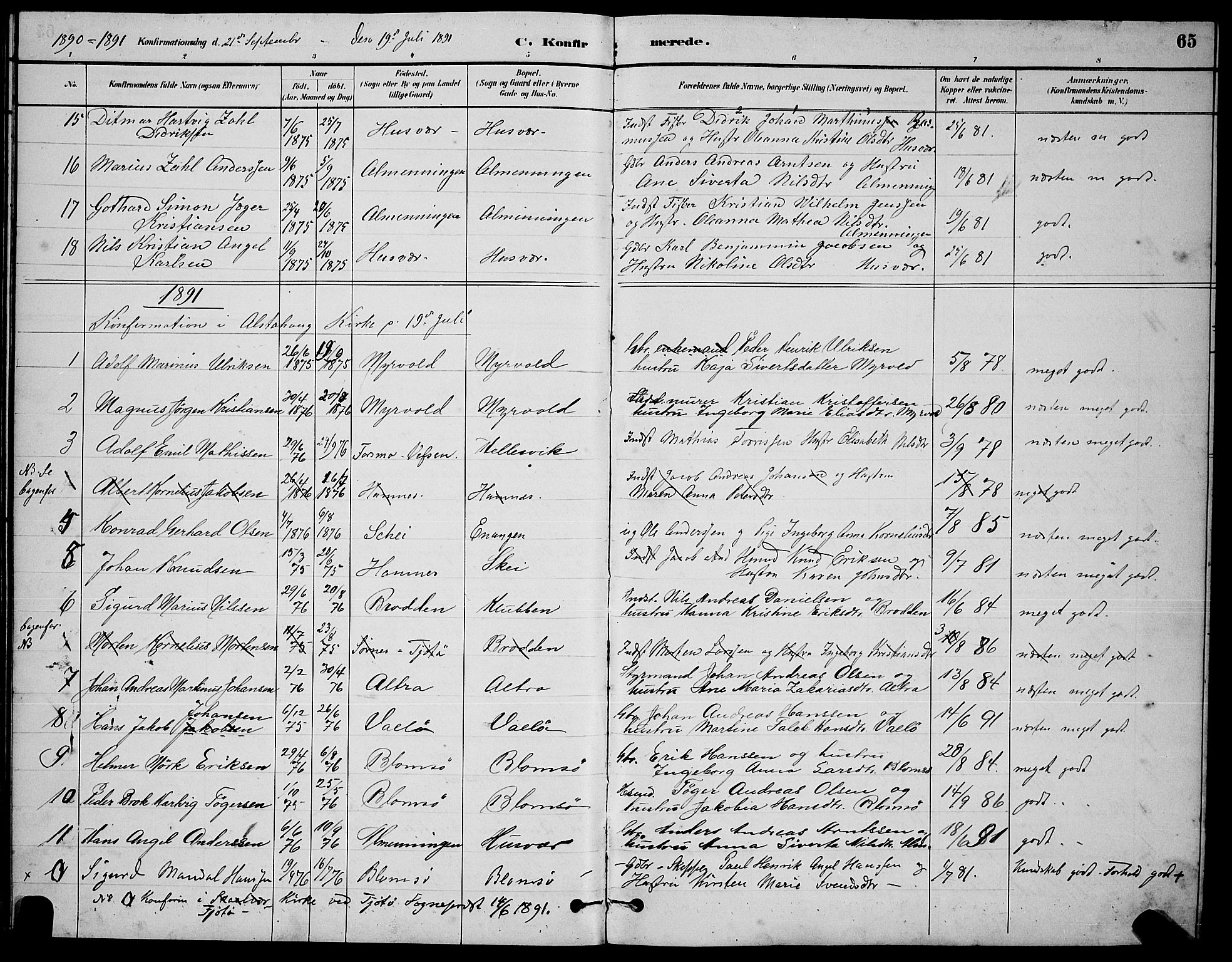 Ministerialprotokoller, klokkerbøker og fødselsregistre - Nordland, AV/SAT-A-1459/830/L0462: Parish register (copy) no. 830C04, 1882-1895, p. 65