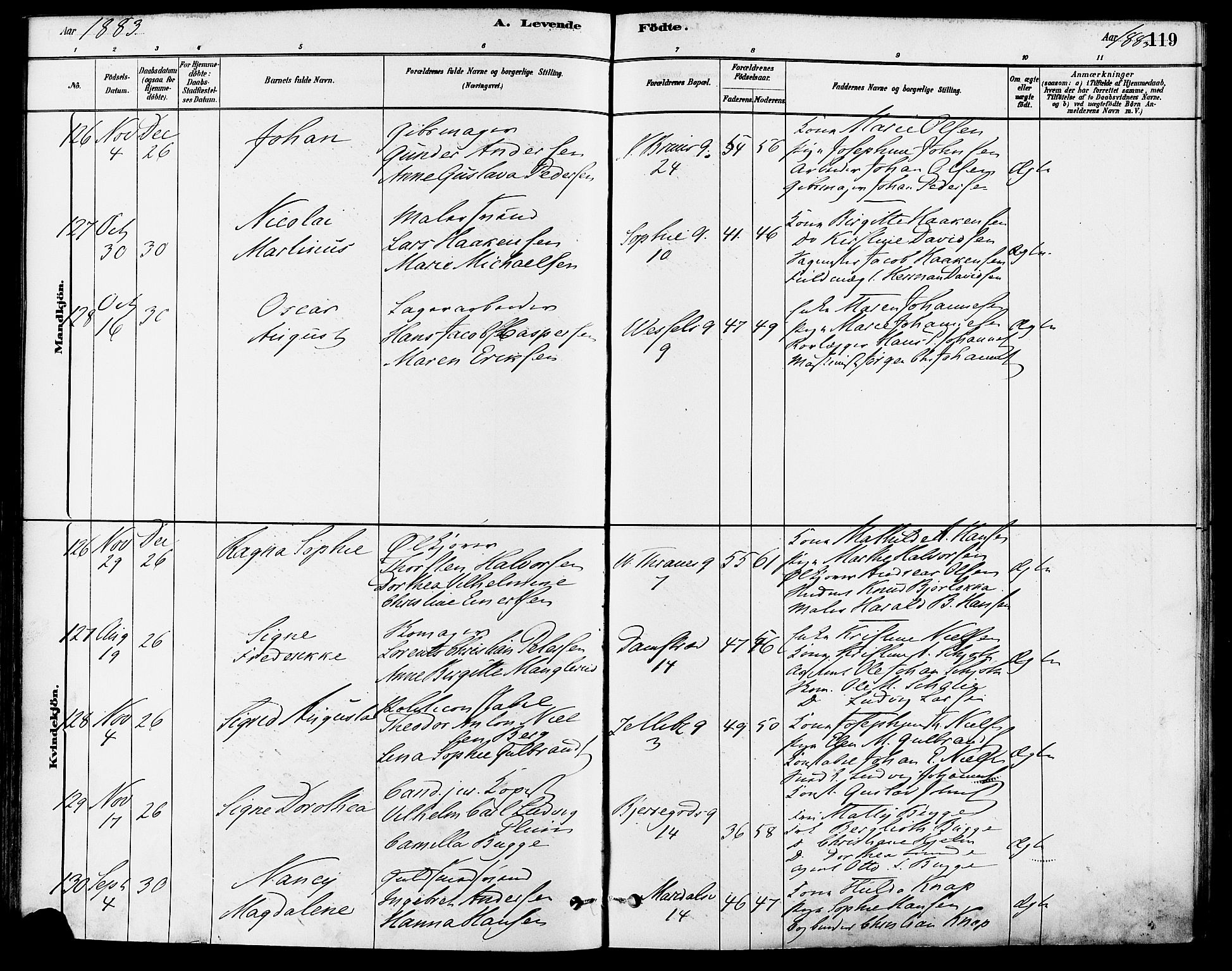 Gamle Aker prestekontor Kirkebøker, AV/SAO-A-10617a/F/L0006: Parish register (official) no. 6, 1880-1887, p. 119