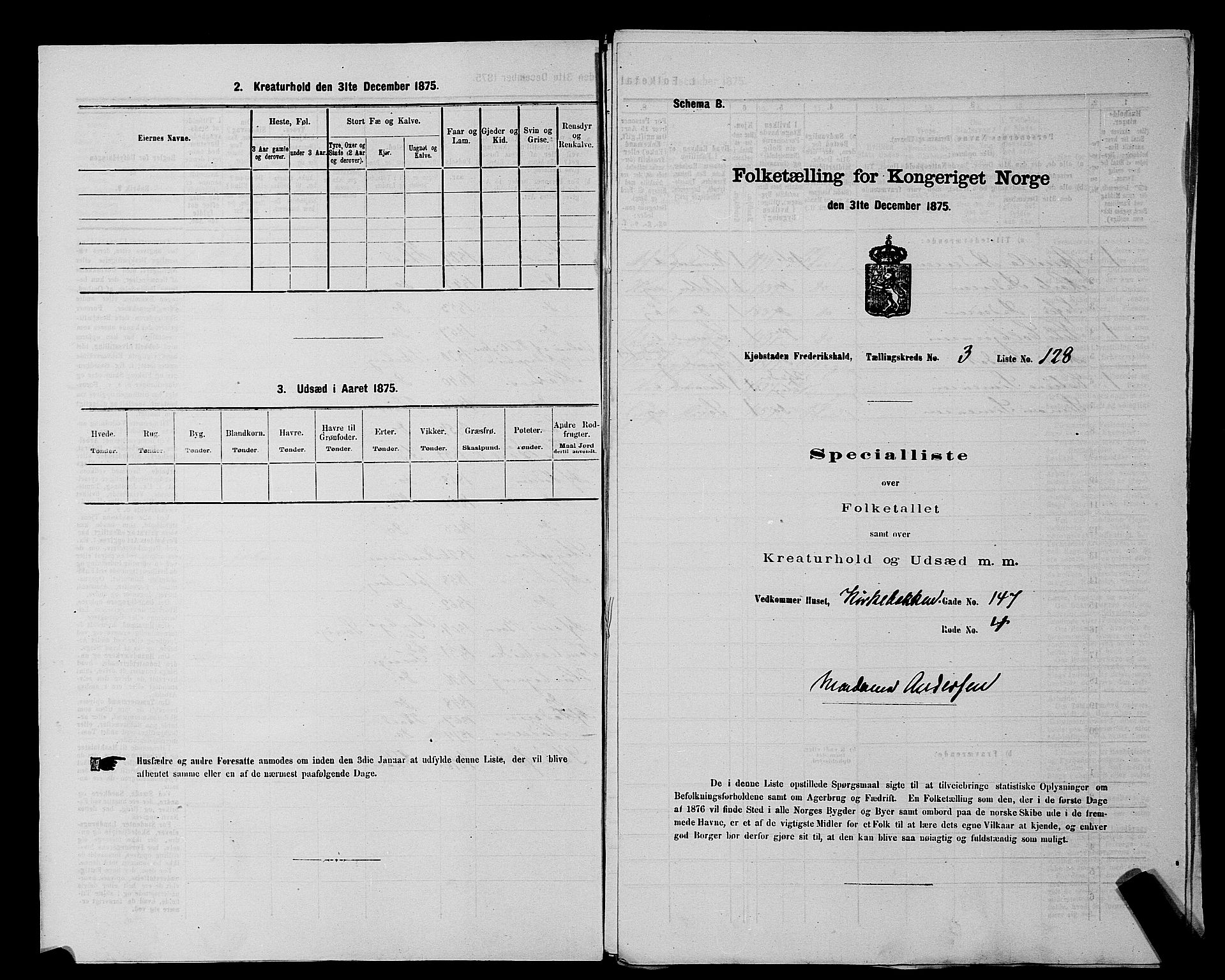 RA, 1875 census for 0101P Fredrikshald, 1875, p. 302