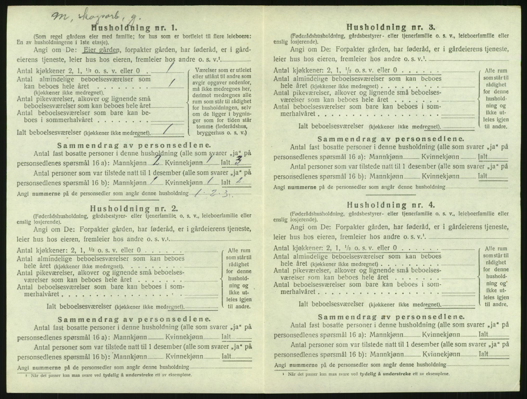 SAH, 1920 census for Fluberg, 1920, p. 41