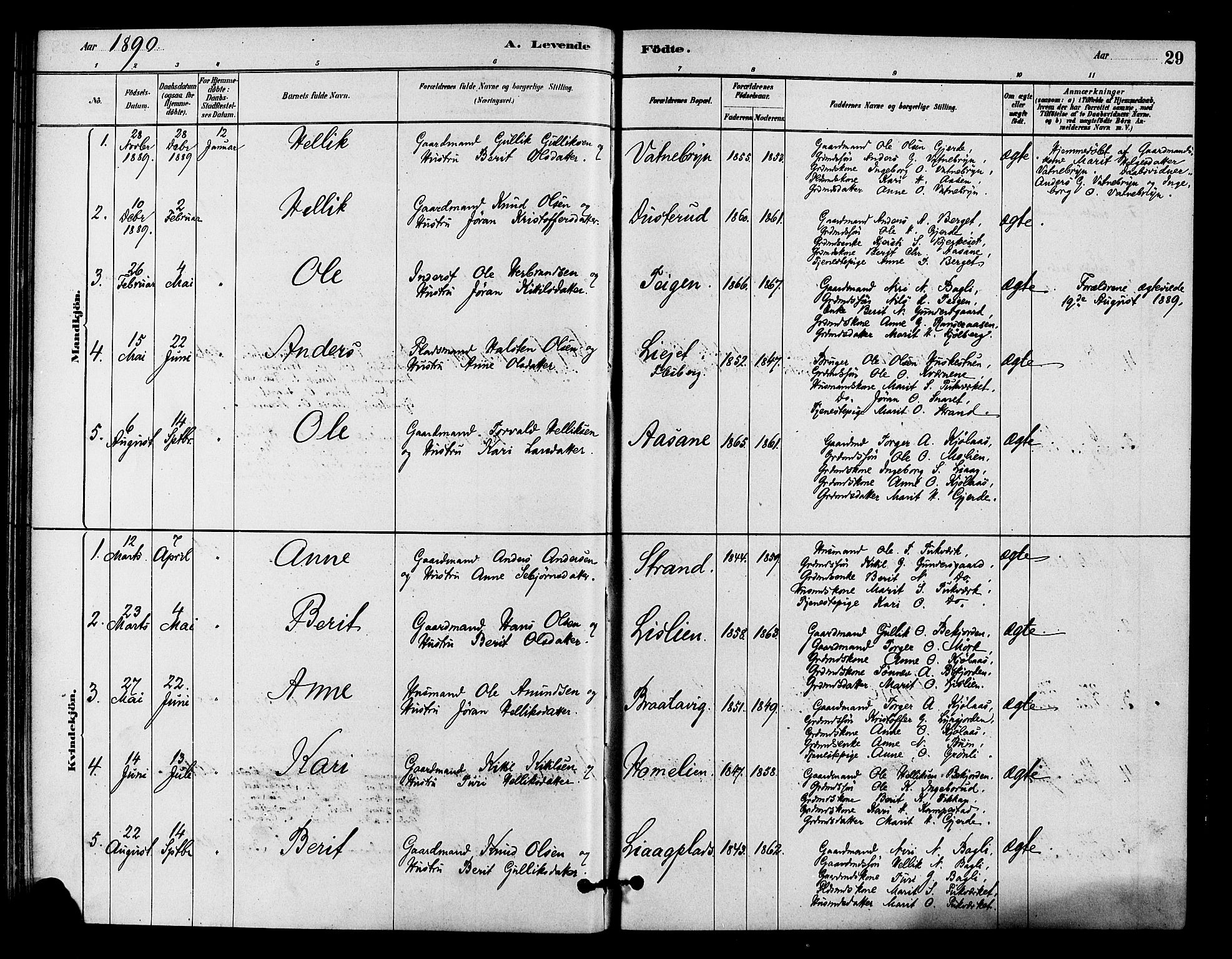 Flesberg kirkebøker, SAKO/A-18/F/Fc/L0001: Parish register (official) no. III 1, 1879-1905, p. 29