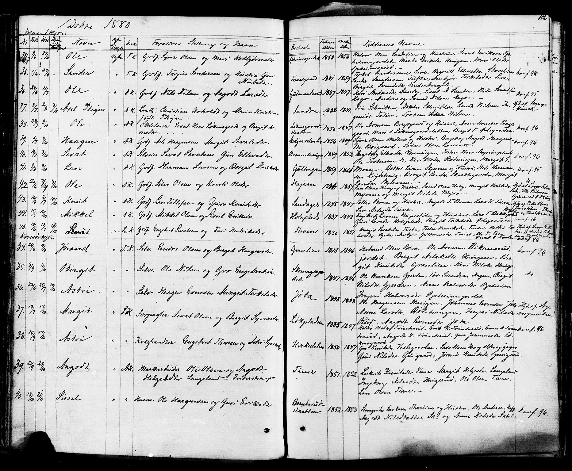 Ål kirkebøker, SAKO/A-249/F/Fa/L0007: Parish register (official) no. I 7, 1865-1881, p. 102