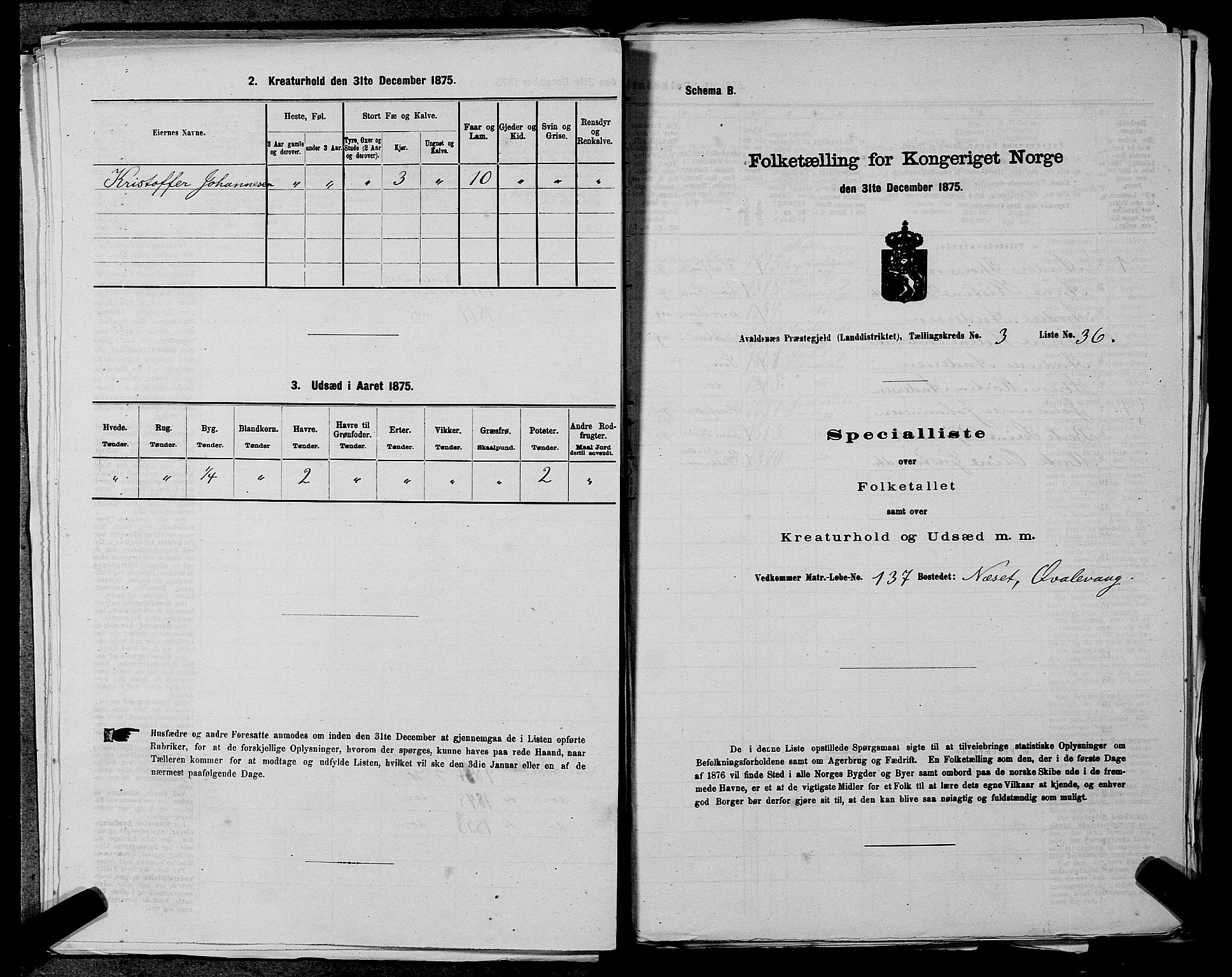 SAST, 1875 census for 1147L Avaldsnes/Avaldsnes og Kopervik, 1875, p. 428