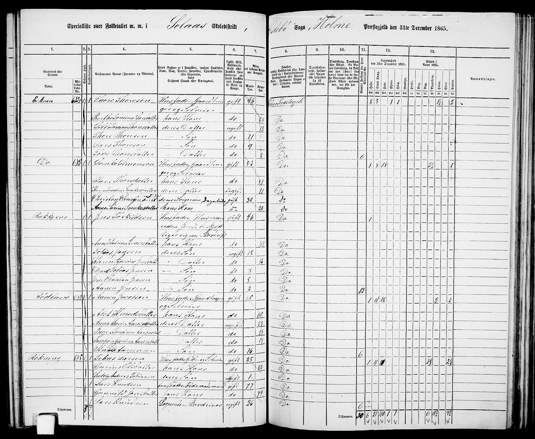 RA, 1865 census for Holum, 1865, p. 119