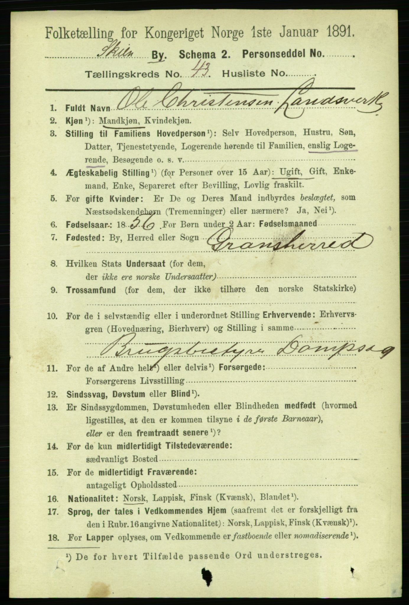 RA, 1891 census for 0806 Skien, 1891, p. 11523