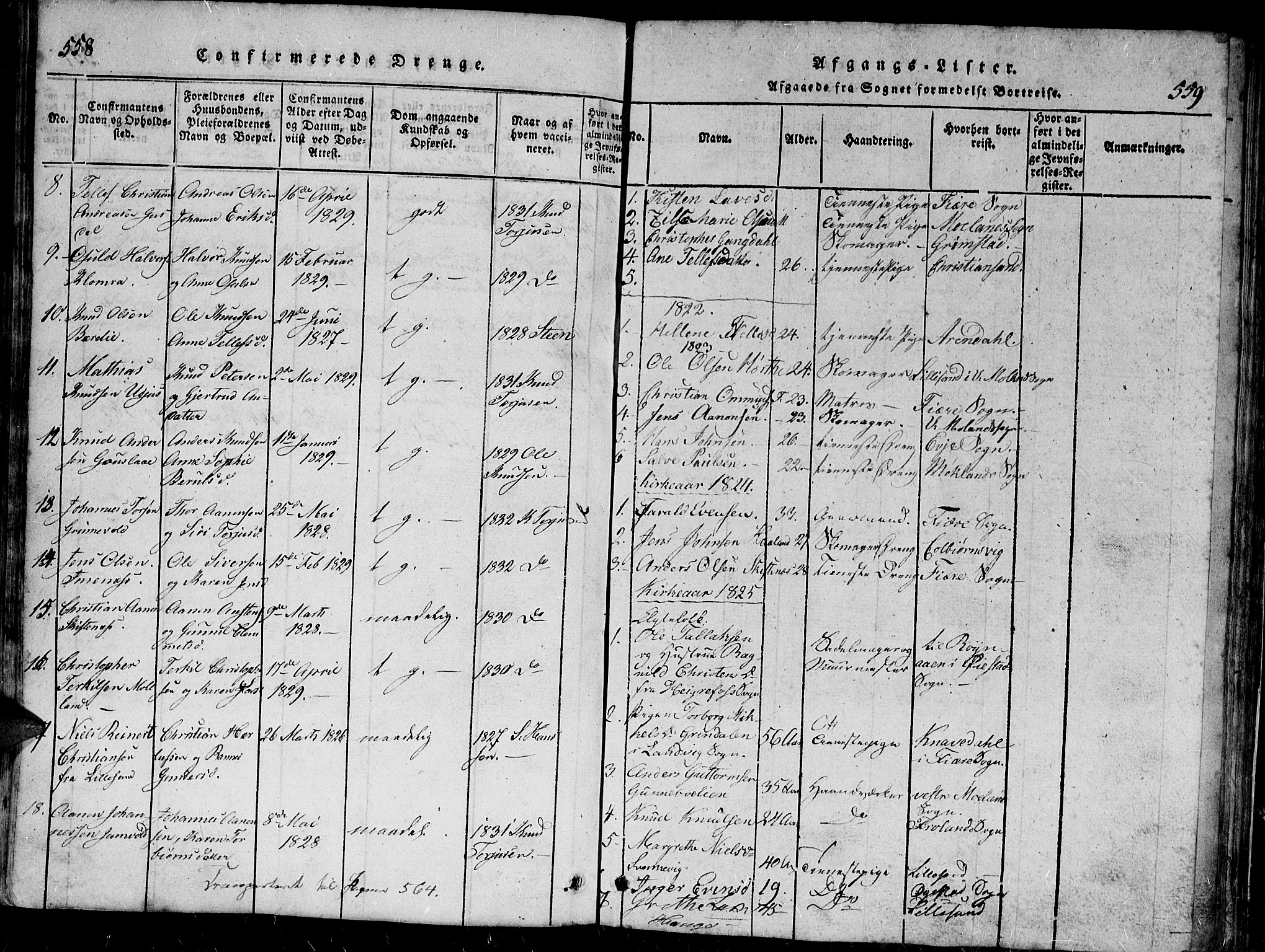 Hommedal sokneprestkontor, SAK/1111-0023/F/Fb/Fbb/L0003: Parish register (copy) no. B 3 /1, 1816-1850, p. 558-559