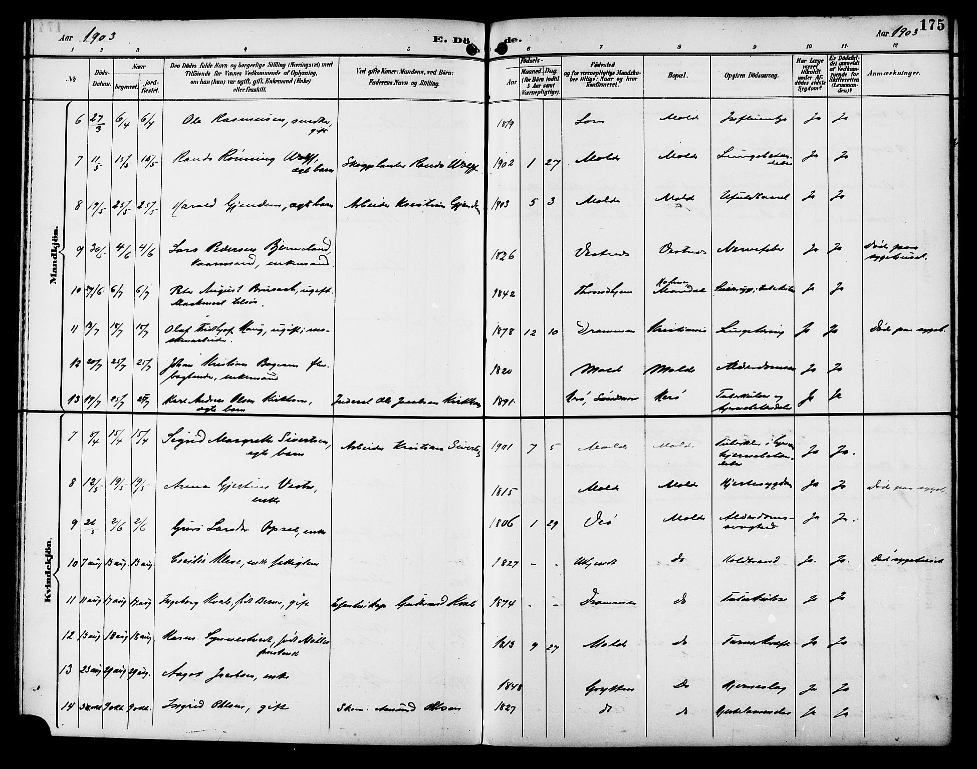 Ministerialprotokoller, klokkerbøker og fødselsregistre - Møre og Romsdal, AV/SAT-A-1454/558/L0702: Parish register (copy) no. 558C03, 1894-1915, p. 175