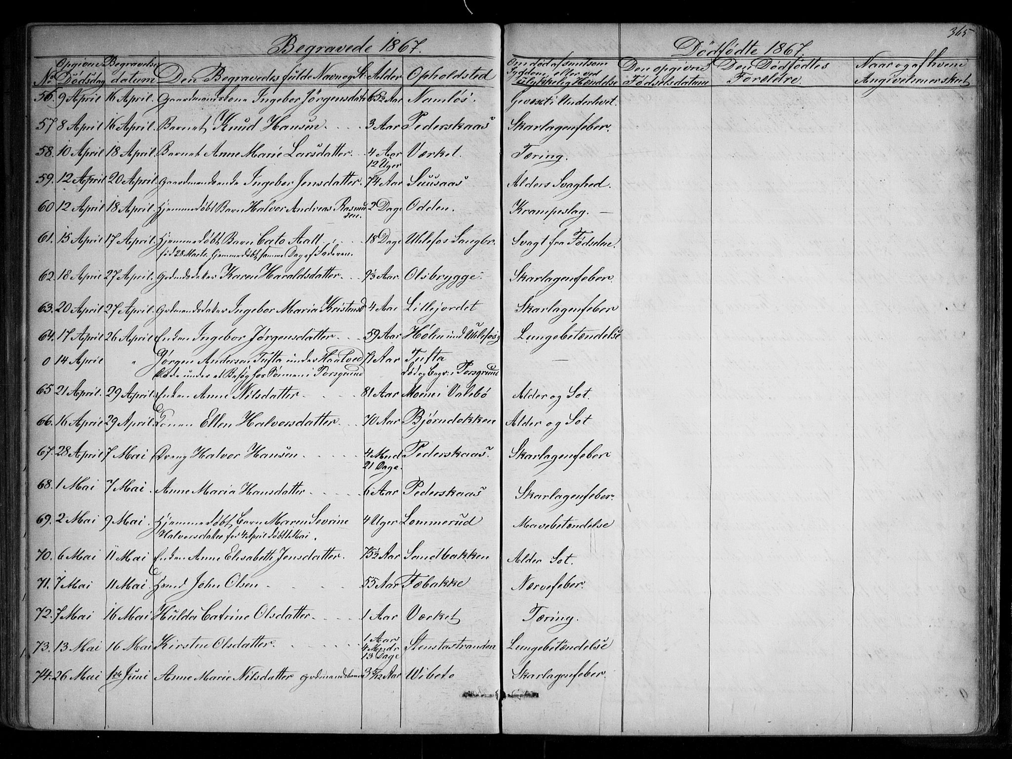 Holla kirkebøker, AV/SAKO-A-272/G/Ga/L0004: Parish register (copy) no. I 4, 1867-1890, p. 365