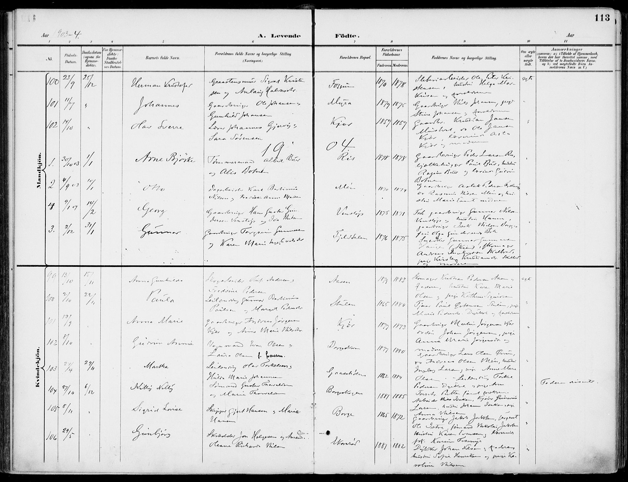 Gjerpen kirkebøker, SAKO/A-265/F/Fa/L0011: Parish register (official) no. I 11, 1896-1904, p. 113