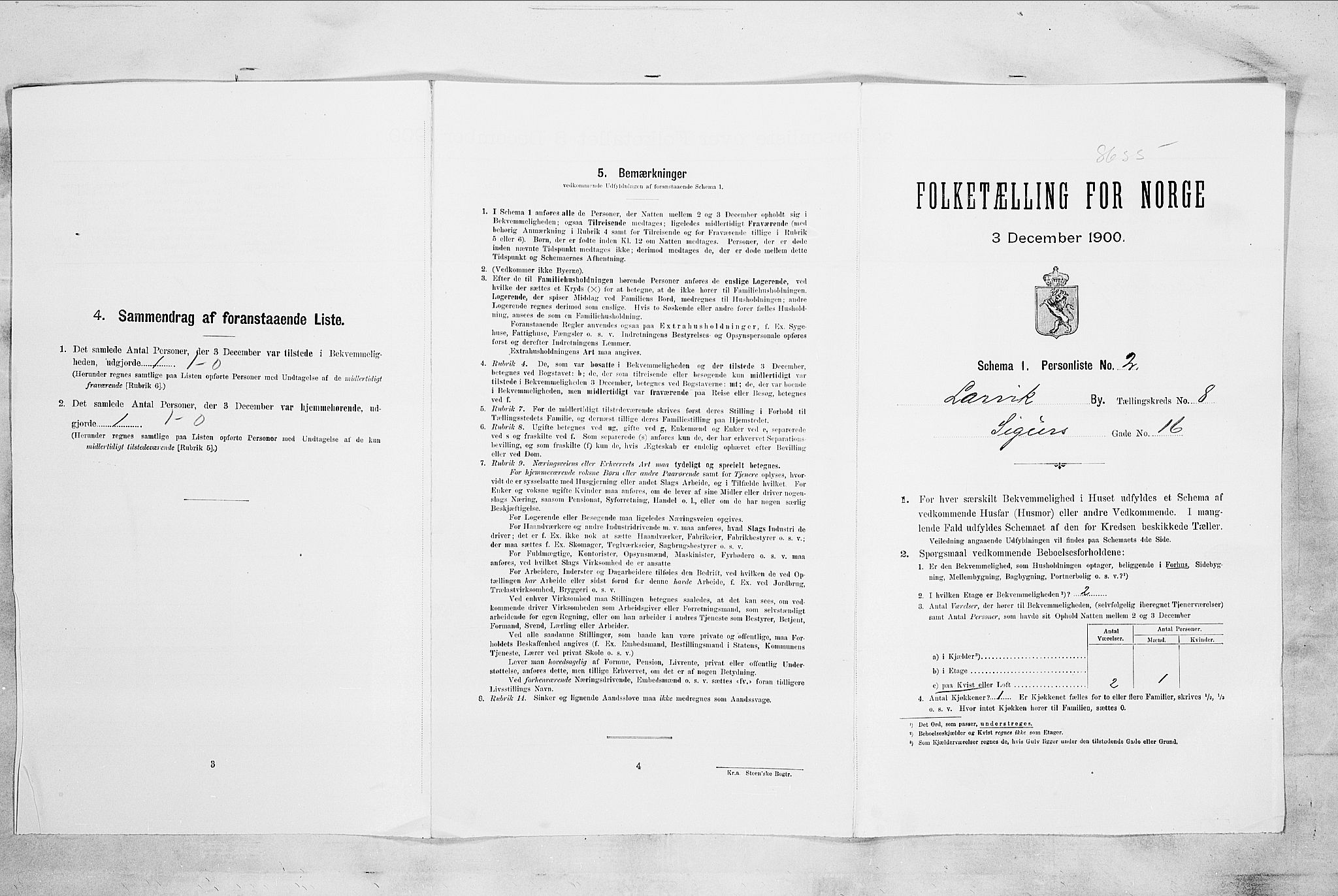 RA, 1900 census for Larvik, 1900, p. 733