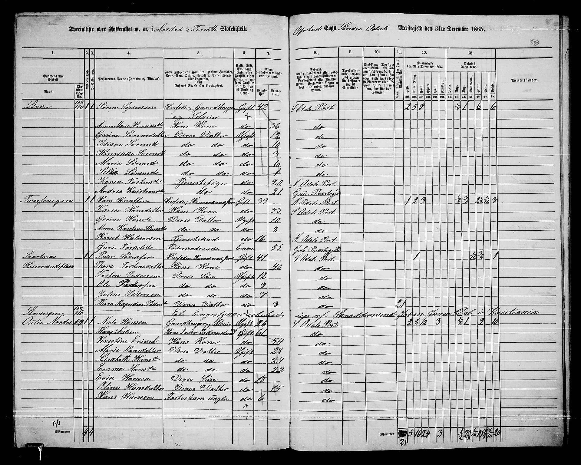 RA, 1865 census for Sør-Odal, 1865, p. 293