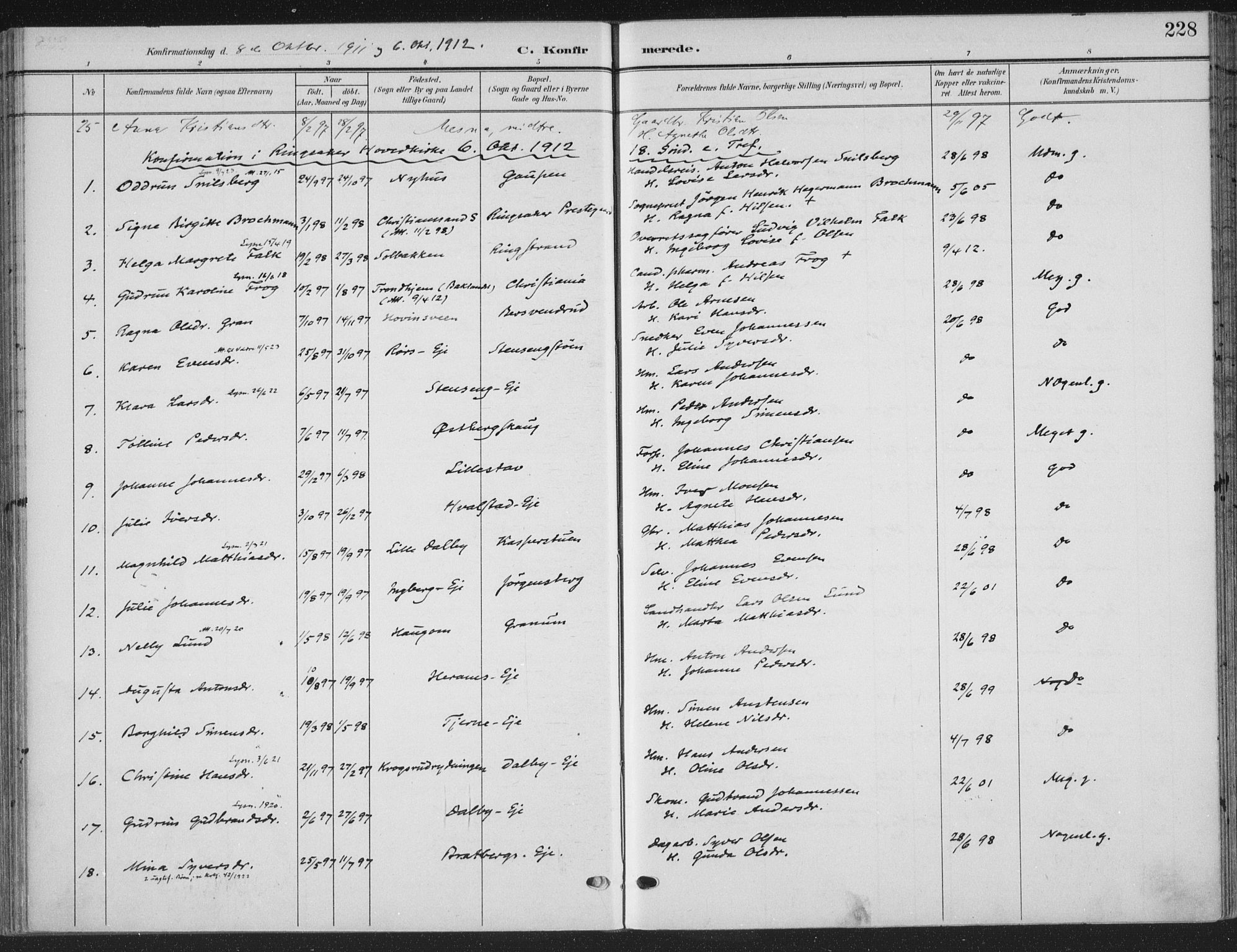 Ringsaker prestekontor, SAH/PREST-014/K/Ka/L0018: Parish register (official) no. 18, 1903-1912, p. 228