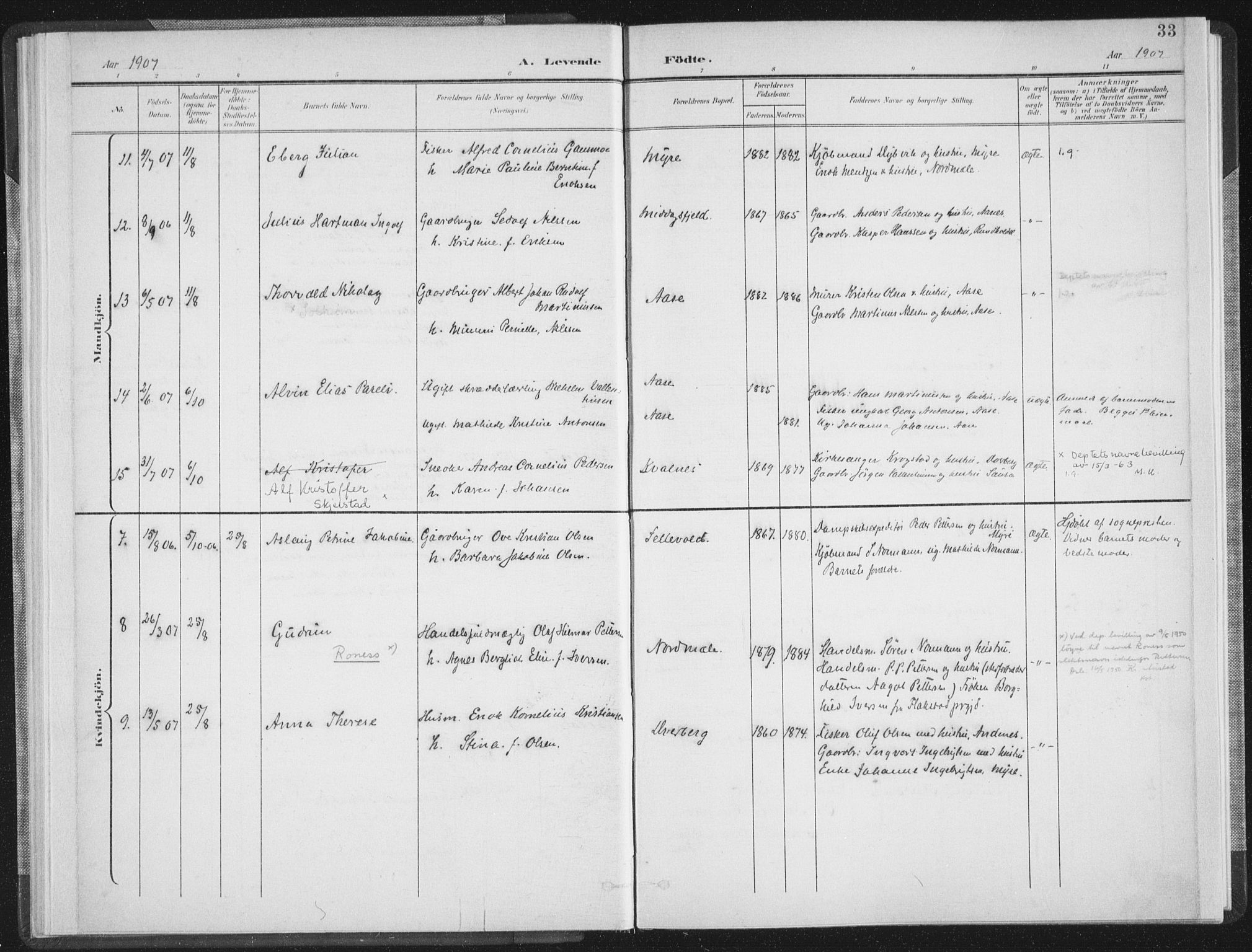 Ministerialprotokoller, klokkerbøker og fødselsregistre - Nordland, AV/SAT-A-1459/897/L1400: Parish register (official) no. 897A07, 1897-1908, p. 33