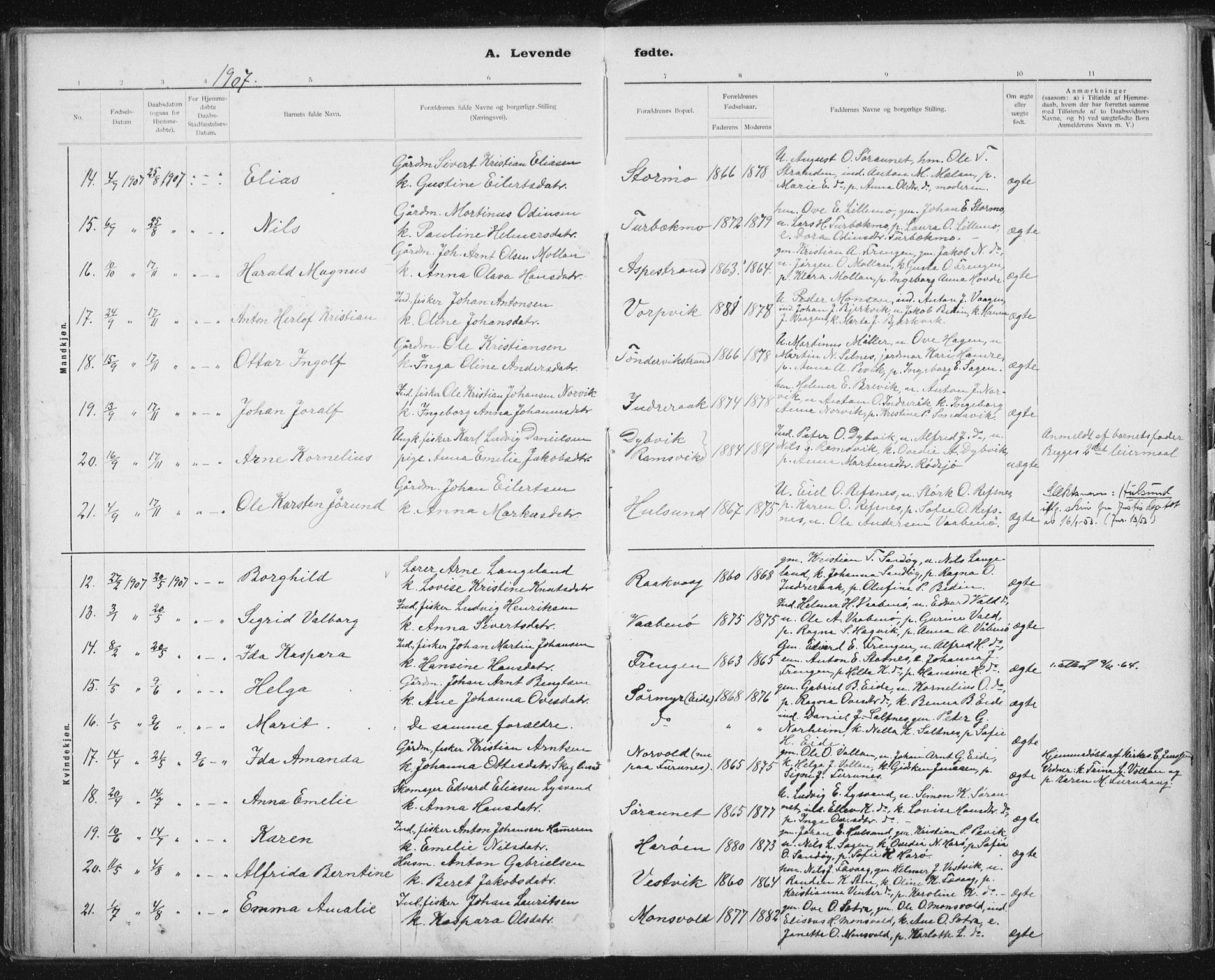 Ministerialprotokoller, klokkerbøker og fødselsregistre - Sør-Trøndelag, AV/SAT-A-1456/653/L0660: Parish register (copy) no. 653C04, 1894-1919