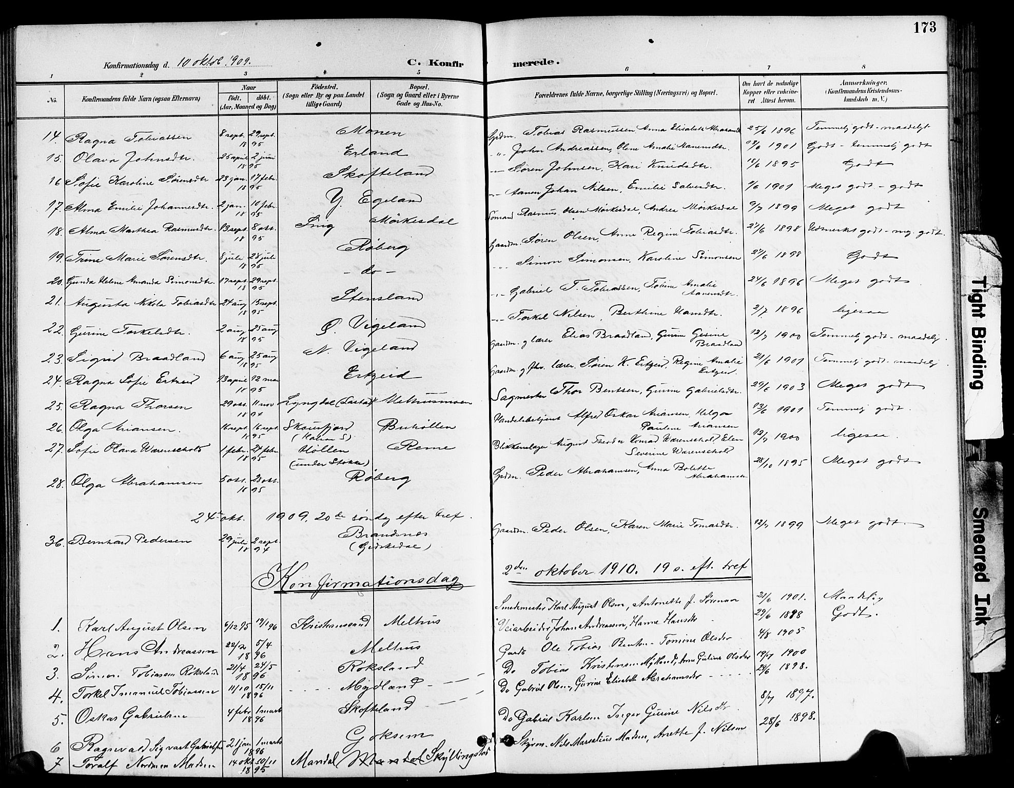 Sør-Audnedal sokneprestkontor, AV/SAK-1111-0039/F/Fb/Fbb/L0006: Parish register (copy) no. B 6, 1893-1915, p. 173