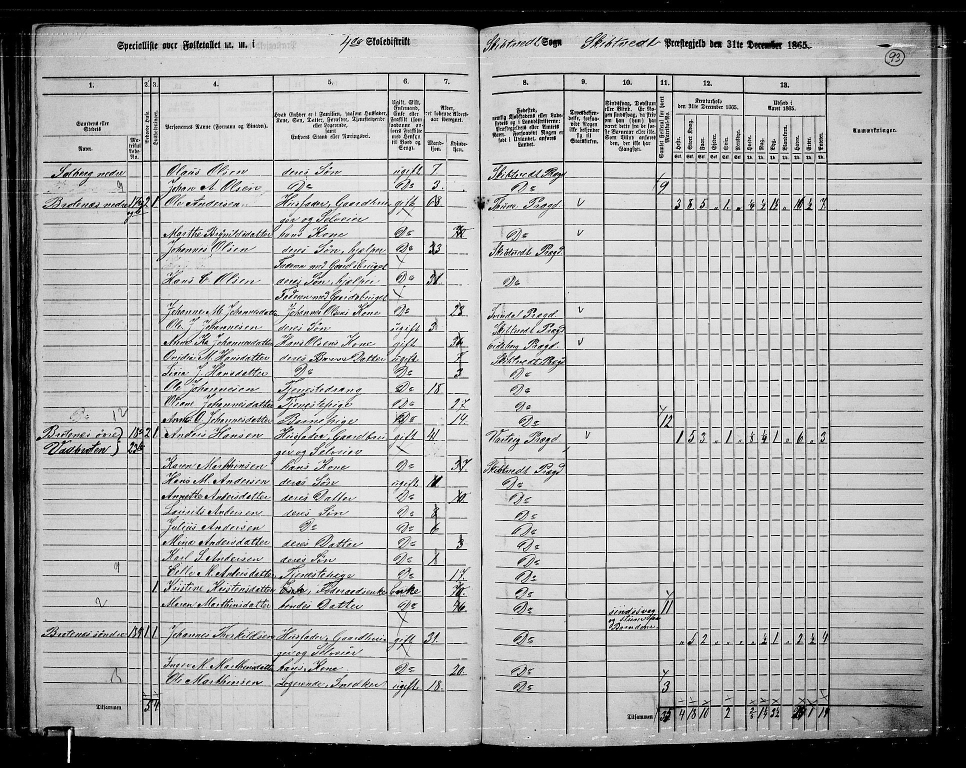 RA, 1865 census for Skiptvet, 1865, p. 83