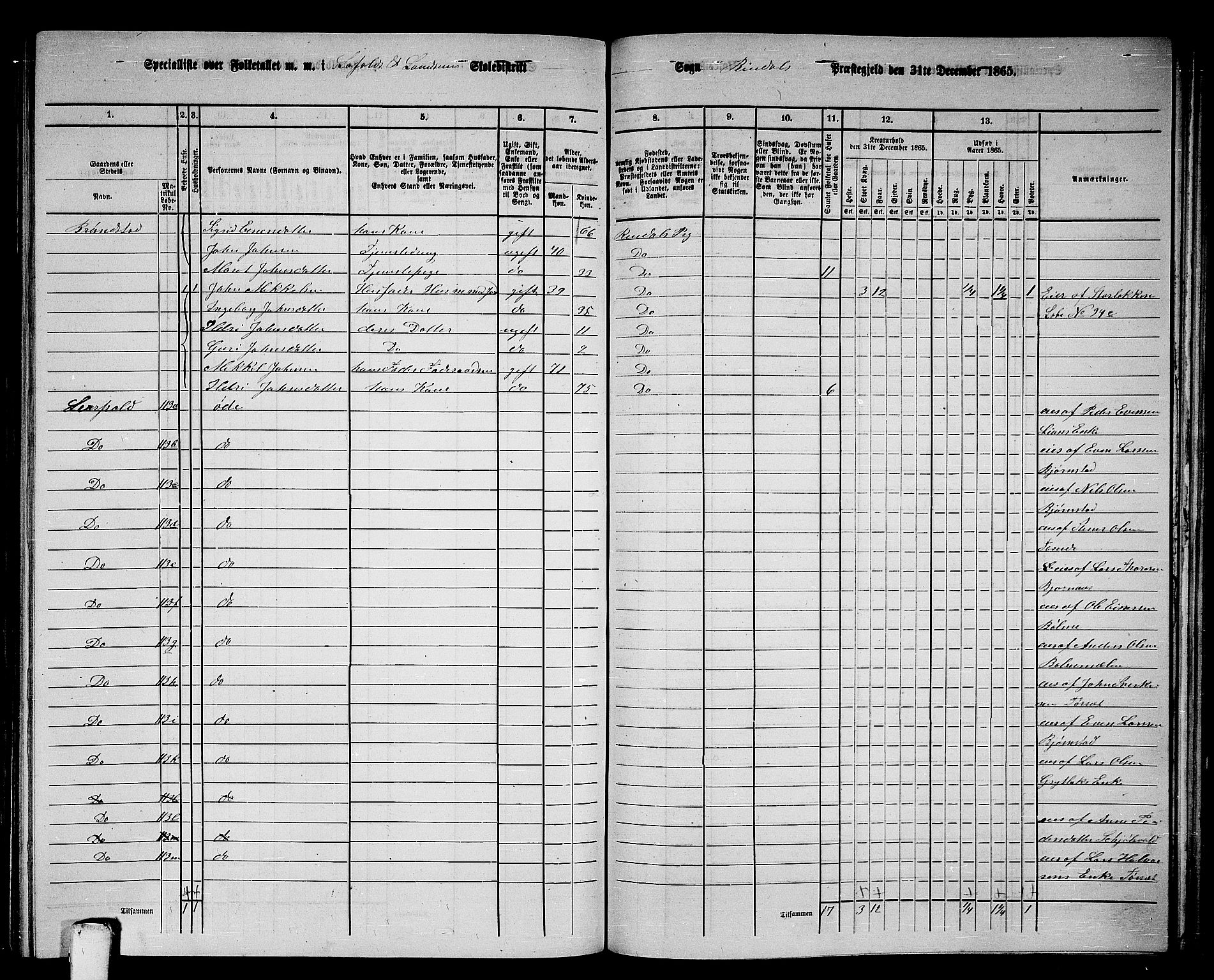 RA, 1865 census for Rindal, 1865, p. 60