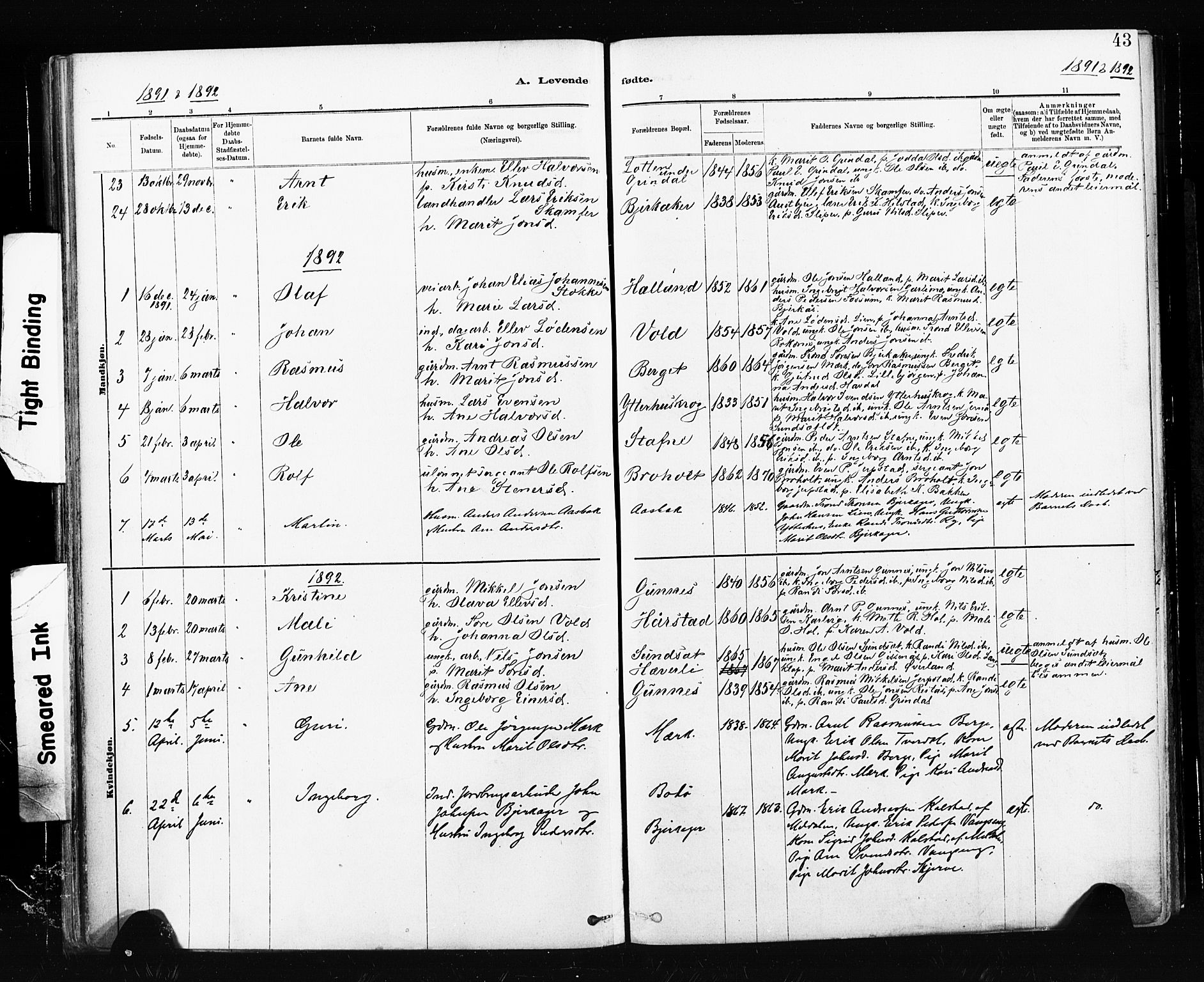Ministerialprotokoller, klokkerbøker og fødselsregistre - Sør-Trøndelag, SAT/A-1456/674/L0871: Parish register (official) no. 674A03, 1880-1896, p. 43