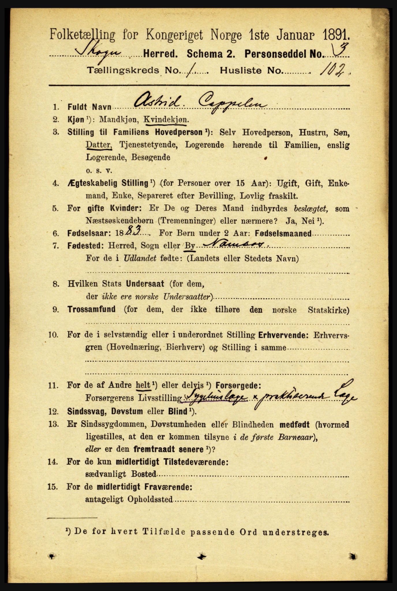 RA, 1891 census for 1719 Skogn, 1891, p. 718