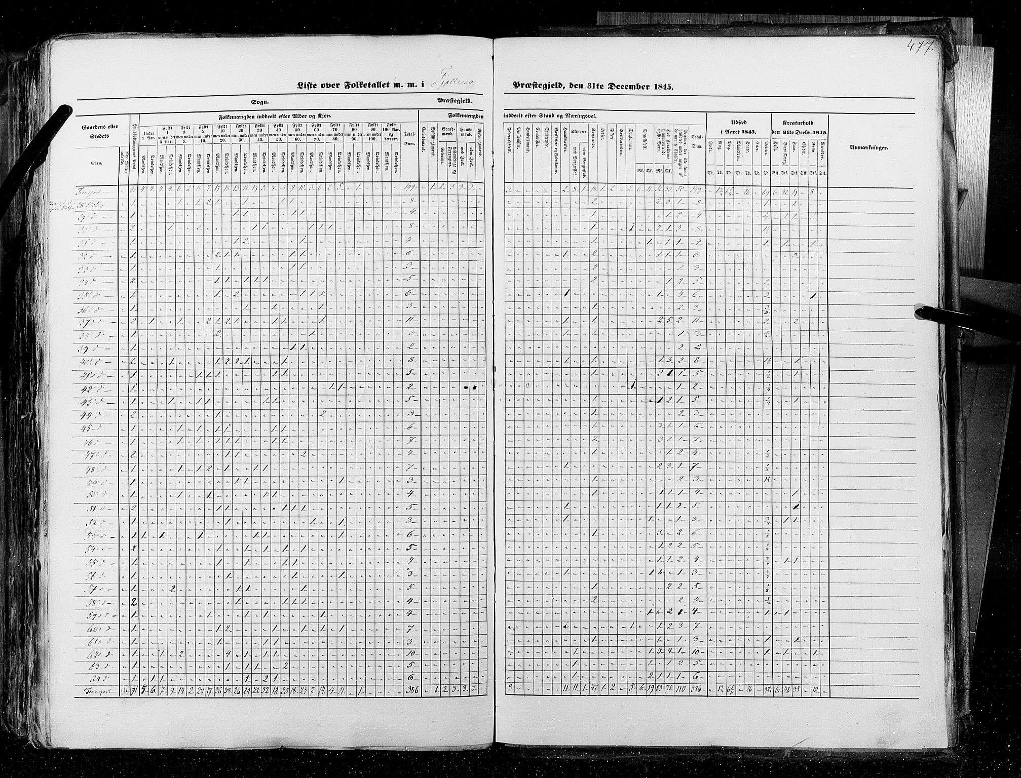 RA, Census 1845, vol. 4: Buskerud amt og Jarlsberg og Larvik amt, 1845, p. 477