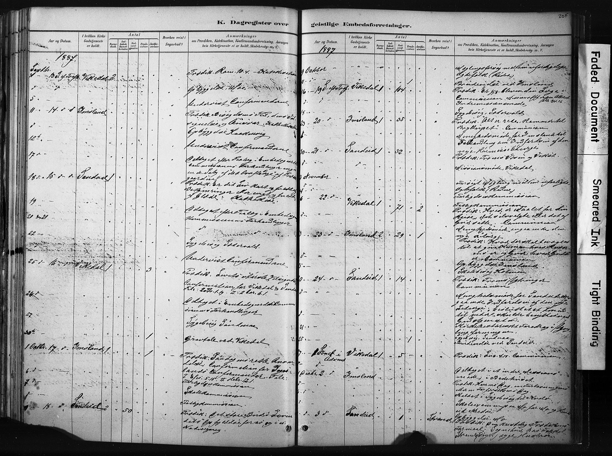 Vikedal sokneprestkontor, AV/SAST-A-101840/01/IV: Parish register (official) no. A 10, 1884-1907, p. 204