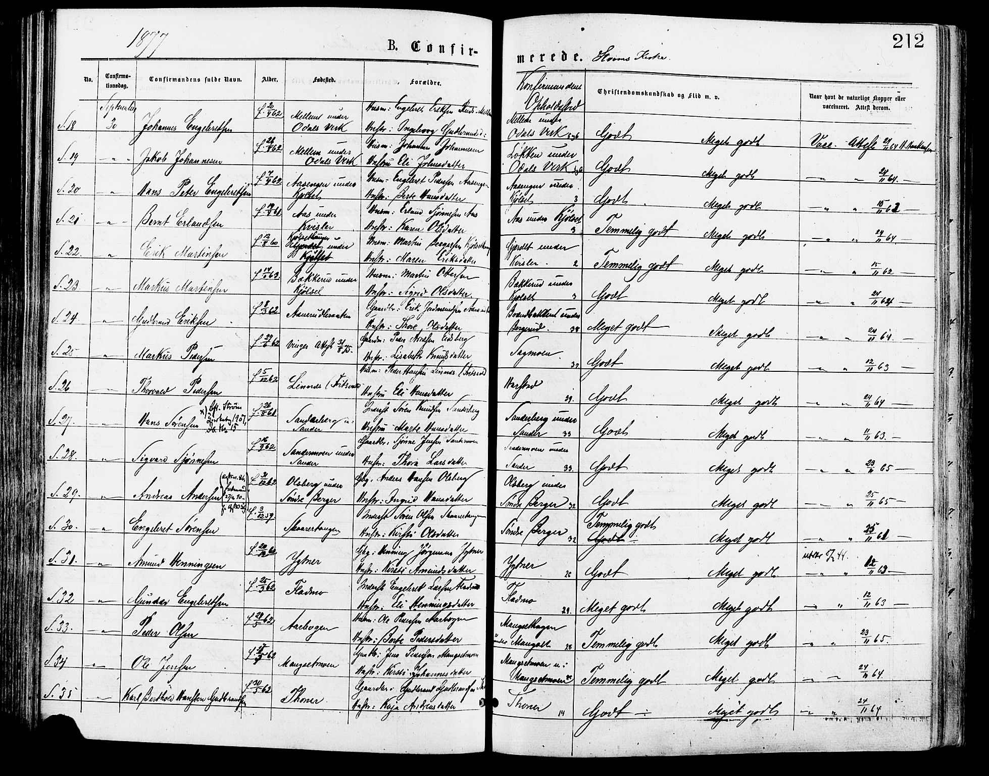 Sør-Odal prestekontor, AV/SAH-PREST-030/H/Ha/Haa/L0005: Parish register (official) no. 5, 1876-1885, p. 212