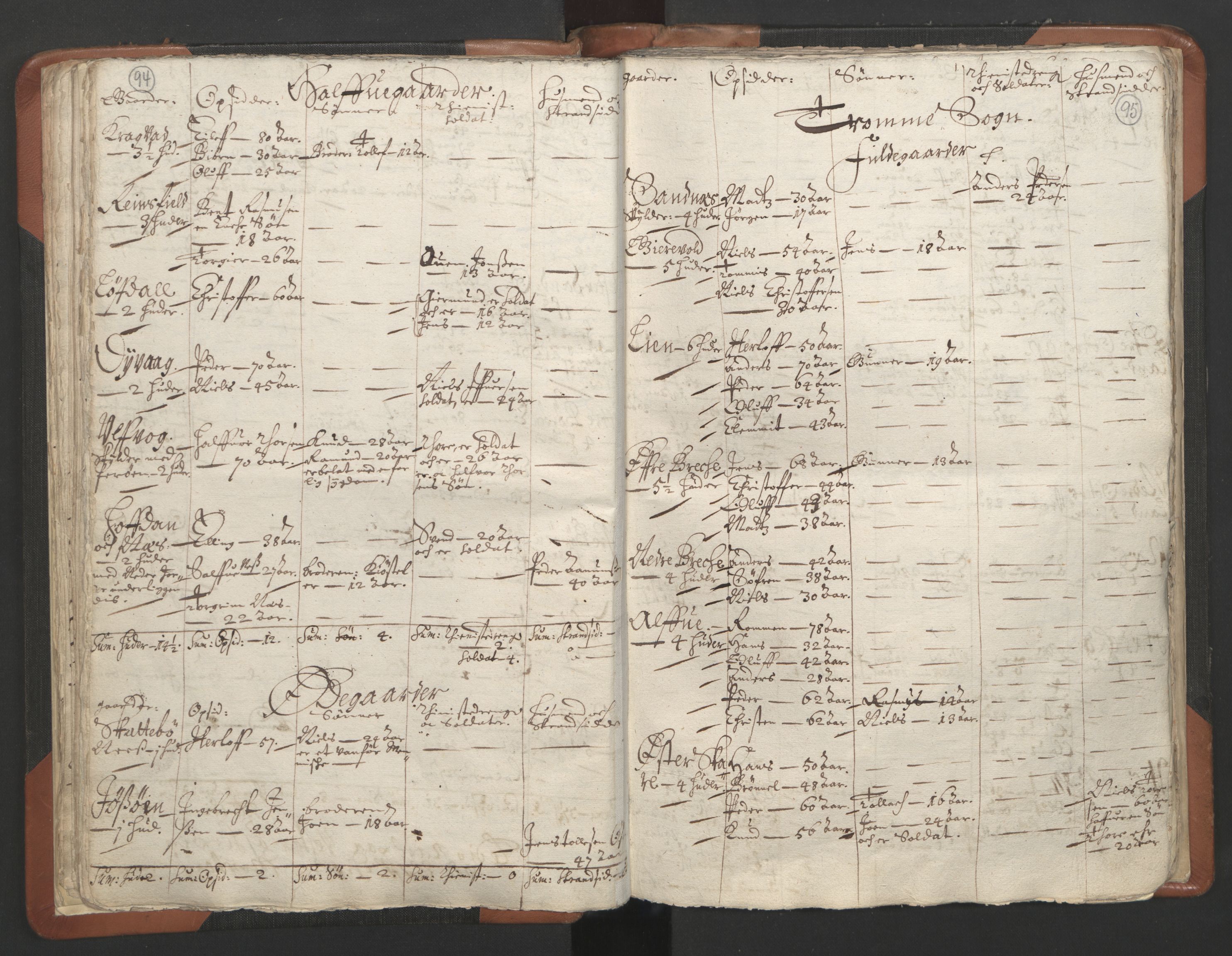 RA, Vicar's Census 1664-1666, no. 13: Nedenes deanery, 1664-1666, p. 94-95