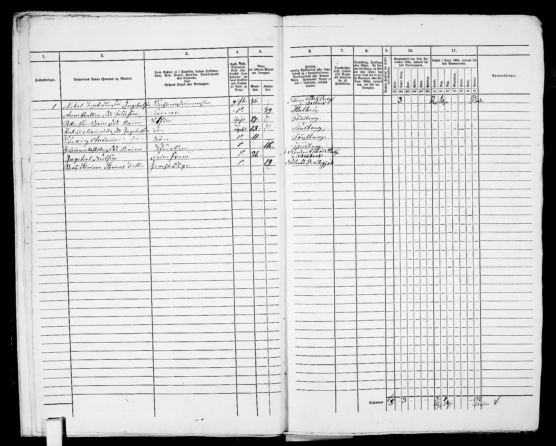 RA, 1865 census for Tønsberg, 1865, p. 369