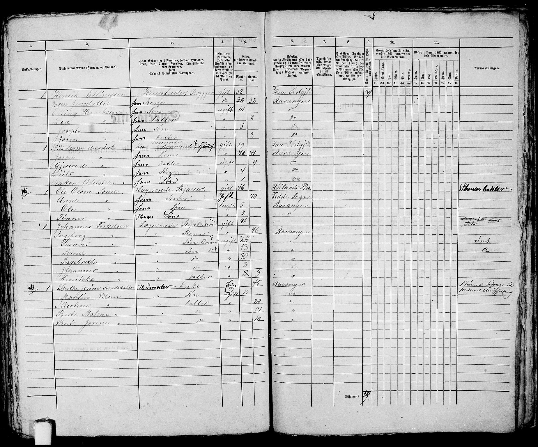 RA, 1865 census for Stavanger, 1865, p. 501