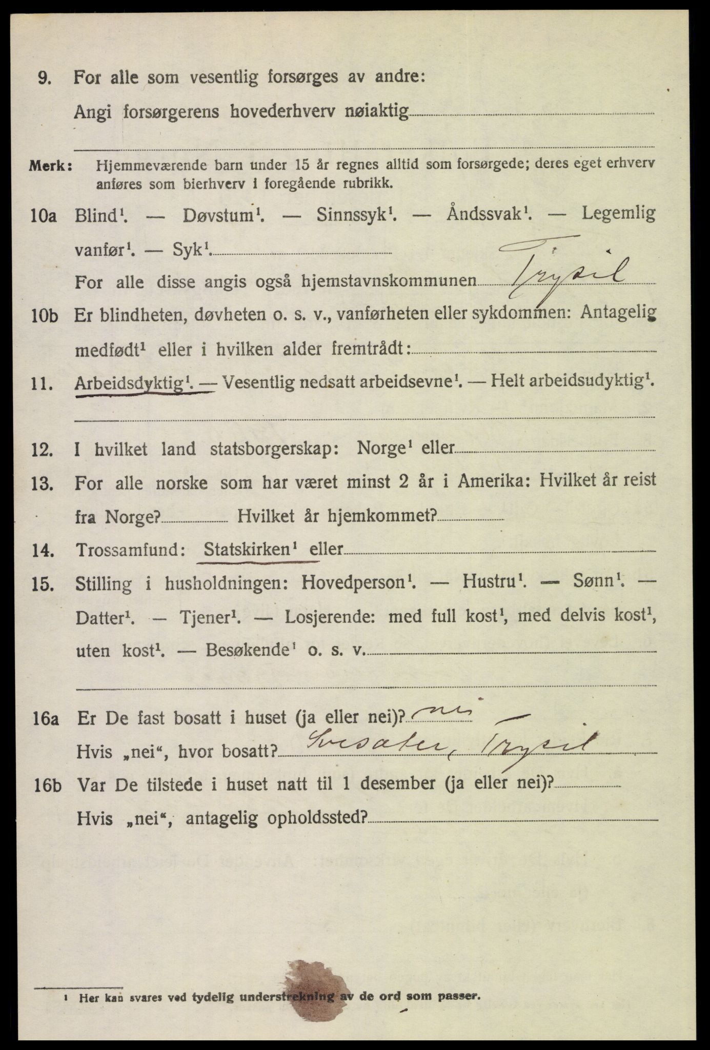 SAH, 1920 census for Trysil, 1920, p. 9416