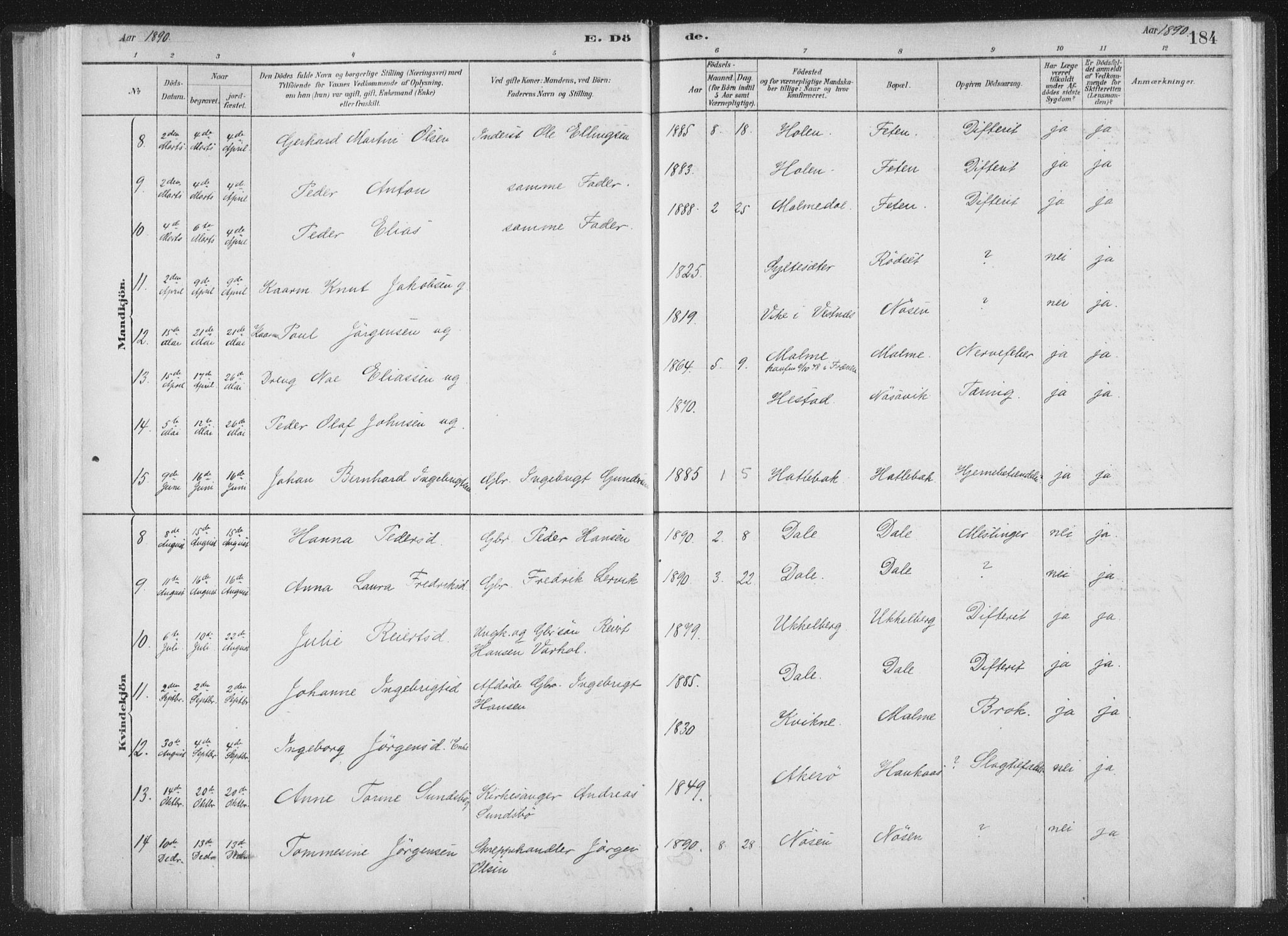 Ministerialprotokoller, klokkerbøker og fødselsregistre - Møre og Romsdal, AV/SAT-A-1454/564/L0740: Parish register (official) no. 564A01, 1880-1899, p. 184