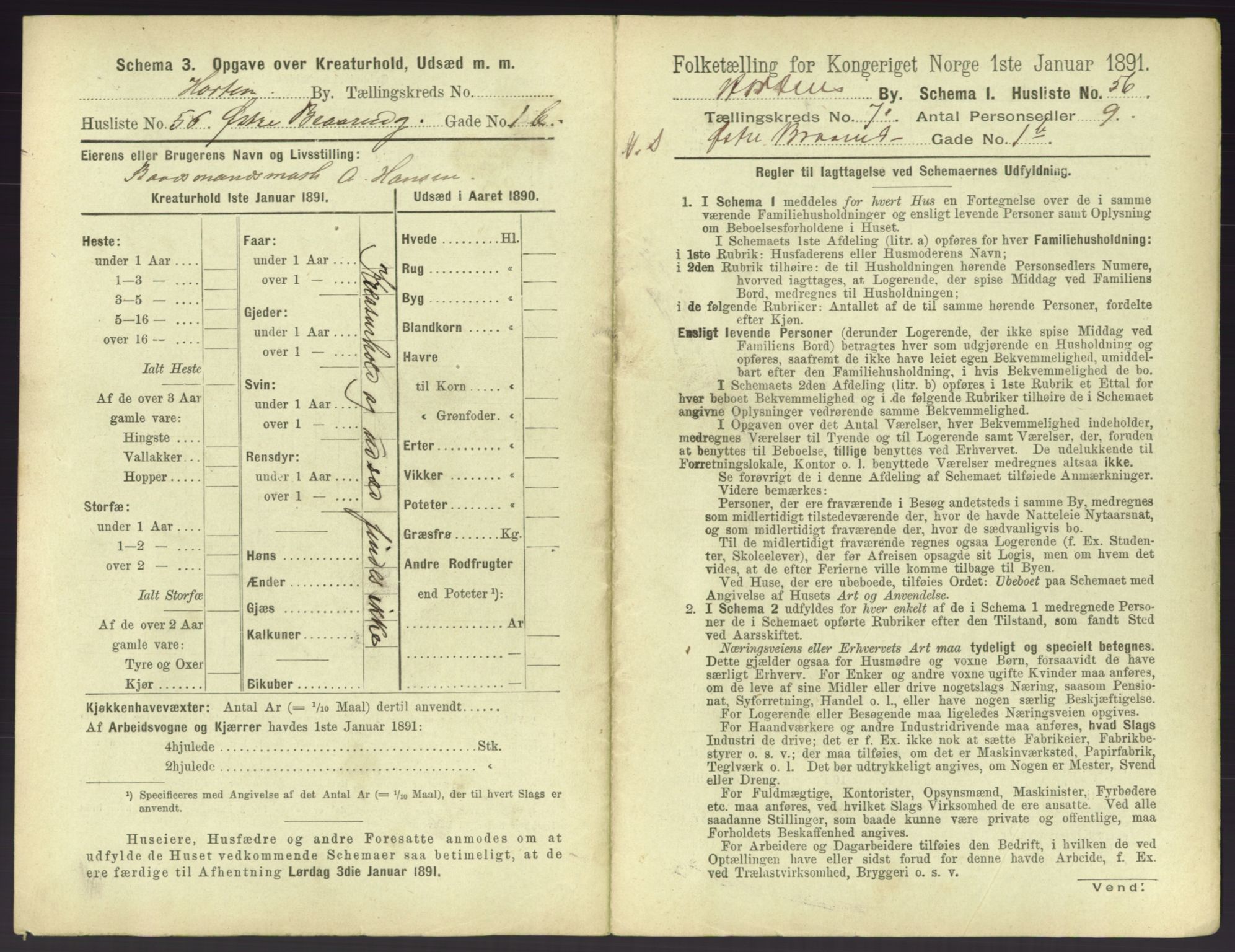 RA, 1891 census for 0703 Horten, 1891, p. 817