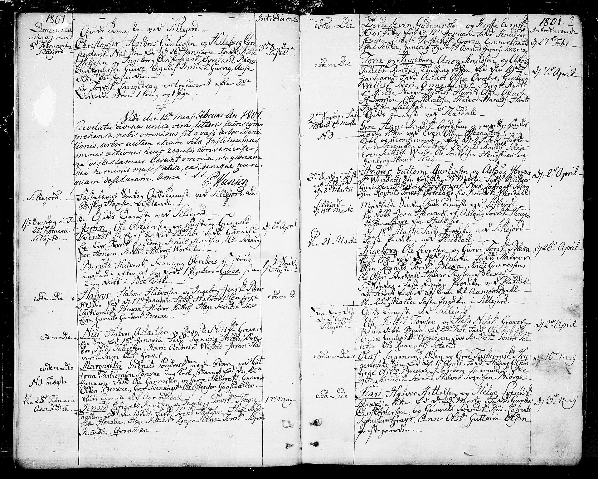 Seljord kirkebøker, SAKO/A-20/F/Fa/L0009: Parish register (official) no. I 9, 1801-1814, p. 4