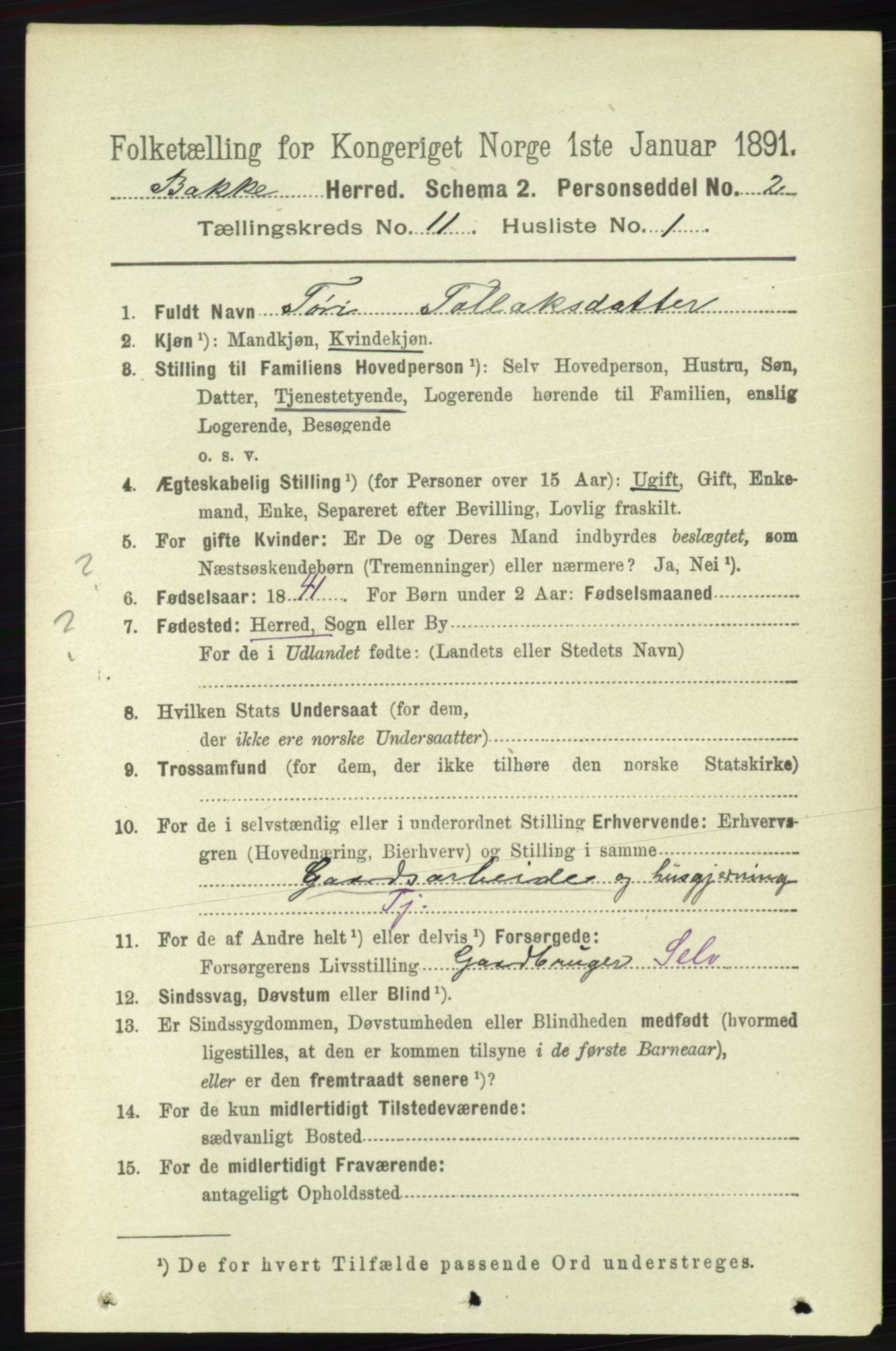 RA, 1891 census for 1045 Bakke, 1891, p. 2237