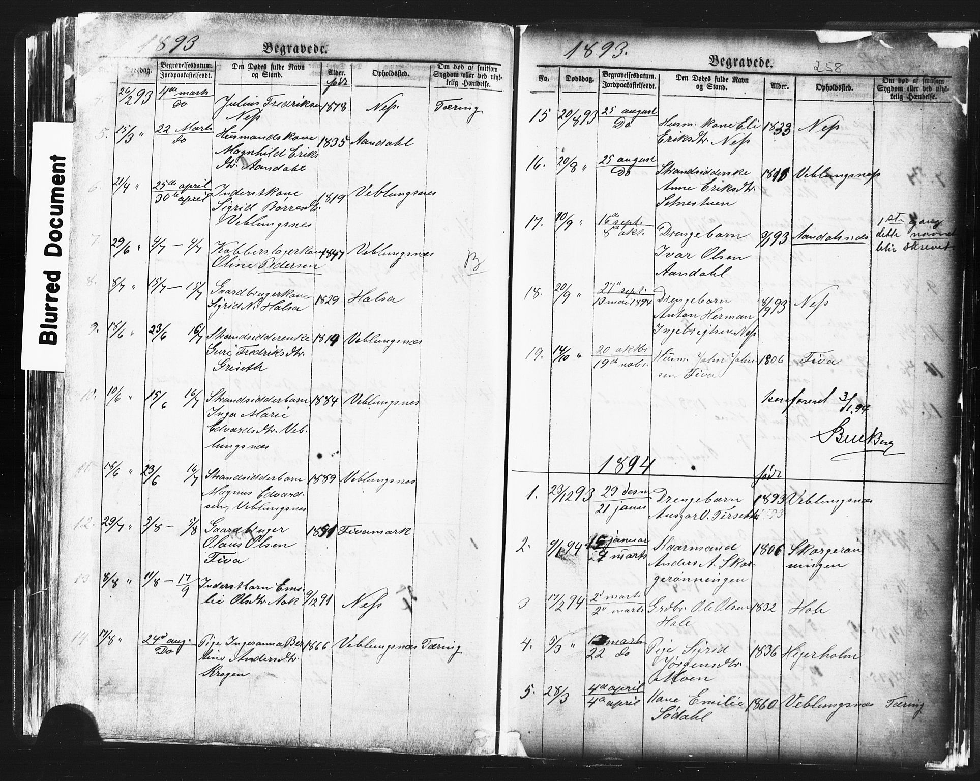 Ministerialprotokoller, klokkerbøker og fødselsregistre - Møre og Romsdal, SAT/A-1454/544/L0580: Parish register (copy) no. 544C02, 1867-1909, p. 258