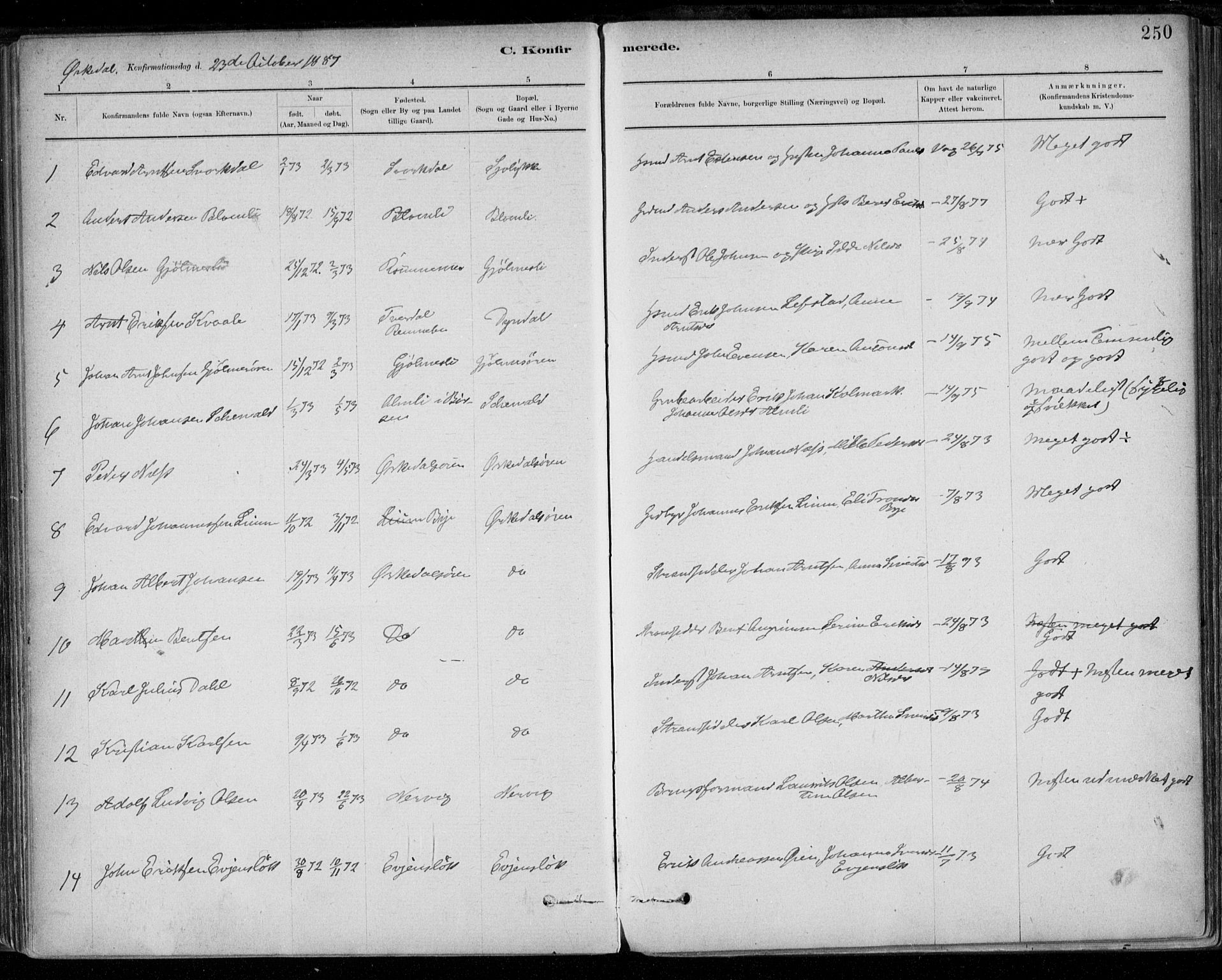 Ministerialprotokoller, klokkerbøker og fødselsregistre - Sør-Trøndelag, AV/SAT-A-1456/668/L0809: Parish register (official) no. 668A09, 1881-1895, p. 250