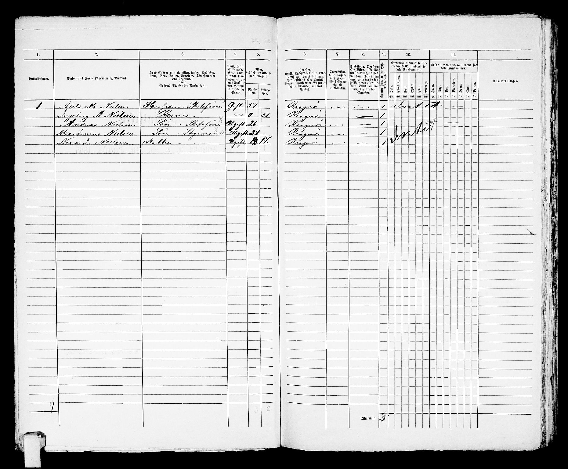 RA, 1865 census for Kragerø/Kragerø, 1865, p. 893