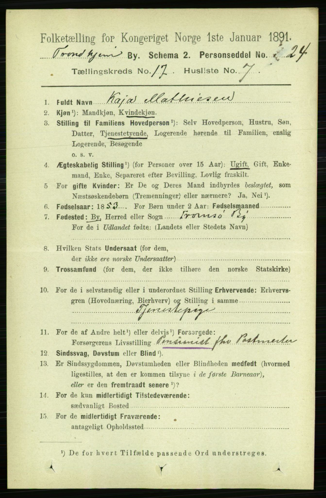 RA, 1891 census for 1601 Trondheim, 1891, p. 13293