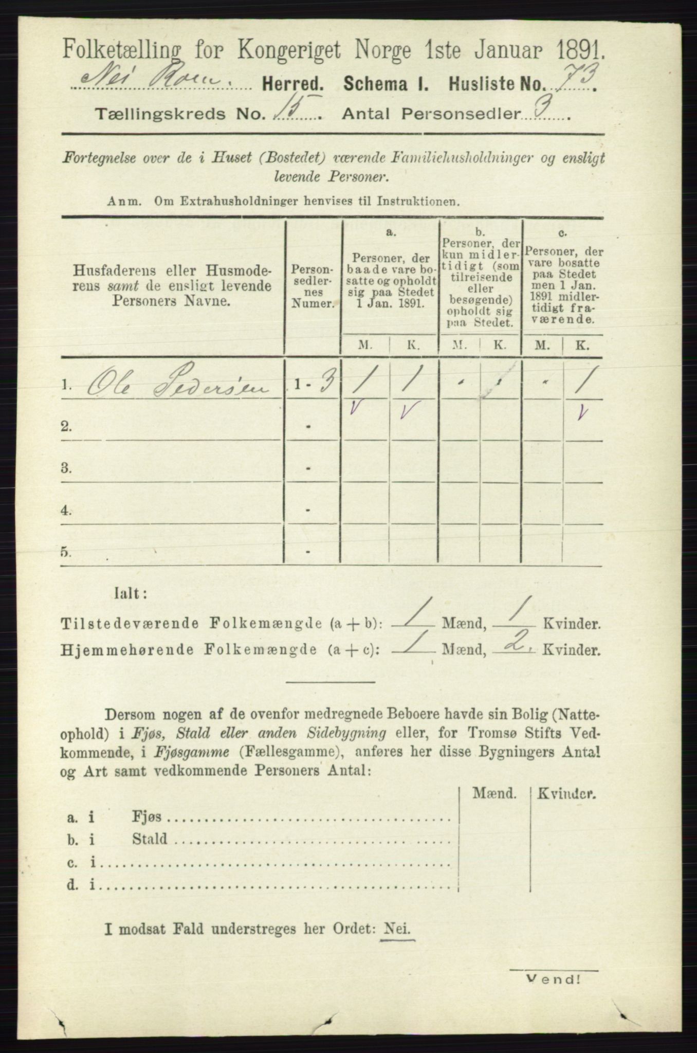 RA, 1891 census for 0236 Nes, 1891, p. 8994