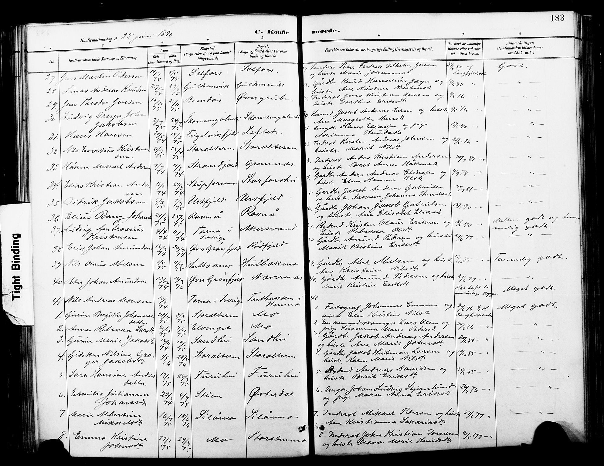 Ministerialprotokoller, klokkerbøker og fødselsregistre - Nordland, AV/SAT-A-1459/827/L0421: Parish register (copy) no. 827C10, 1887-1906, p. 183