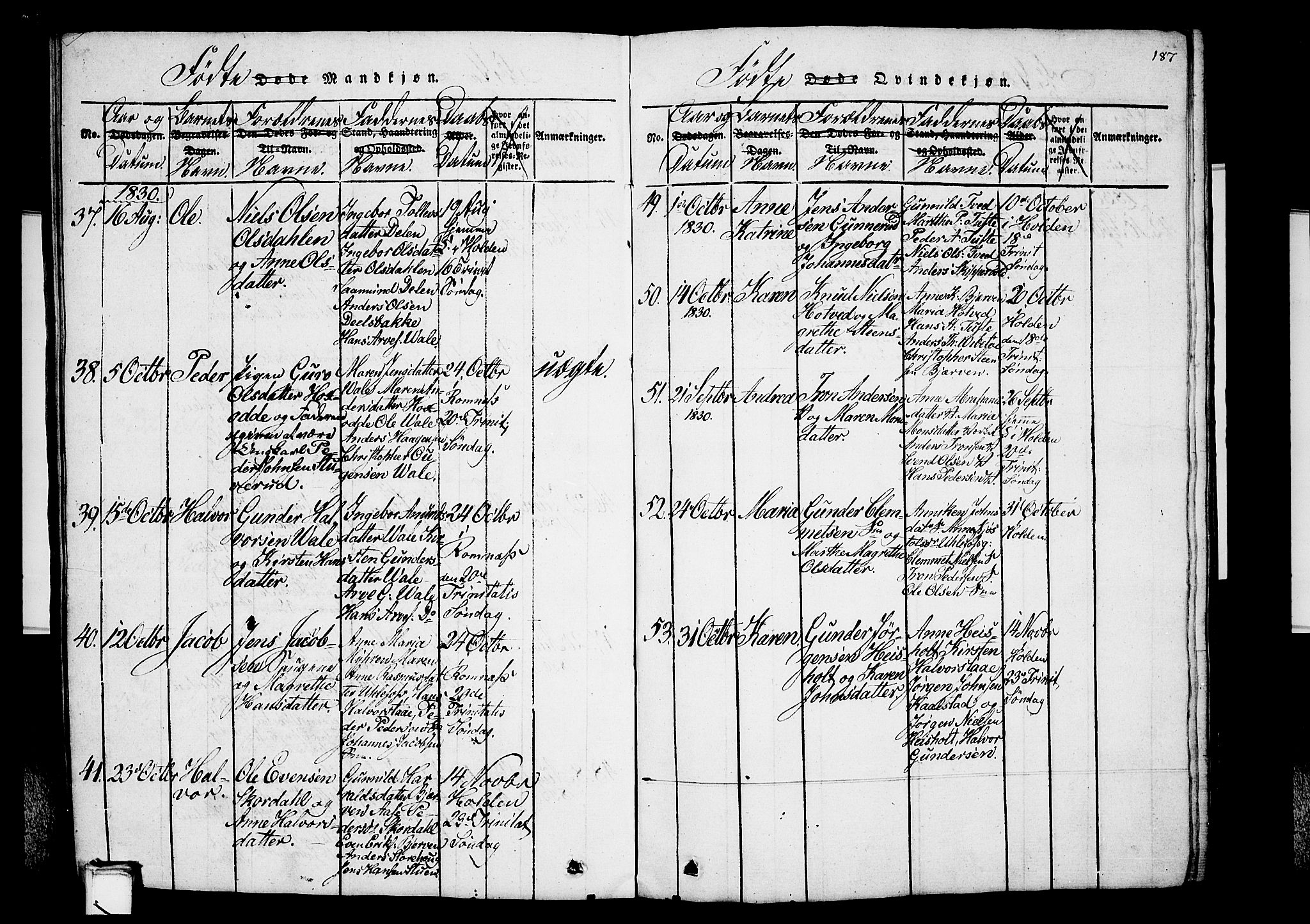 Holla kirkebøker, AV/SAKO-A-272/G/Ga/L0001: Parish register (copy) no. I 1, 1814-1830, p. 187