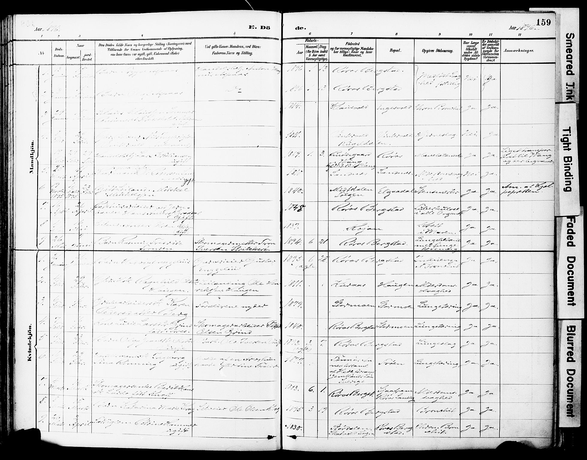 Ministerialprotokoller, klokkerbøker og fødselsregistre - Sør-Trøndelag, AV/SAT-A-1456/681/L0935: Parish register (official) no. 681A13, 1890-1898, p. 159