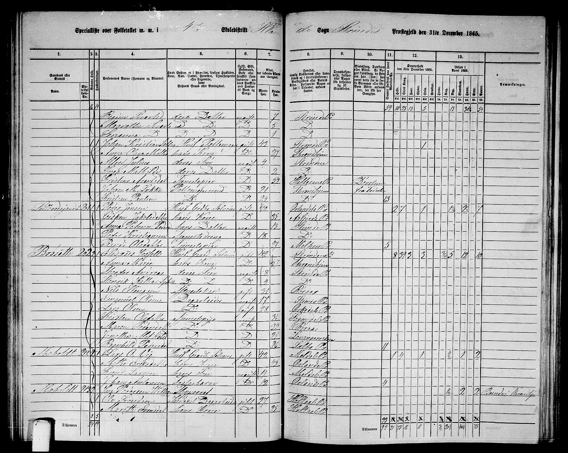 RA, 1865 census for Strinda, 1865, p. 105