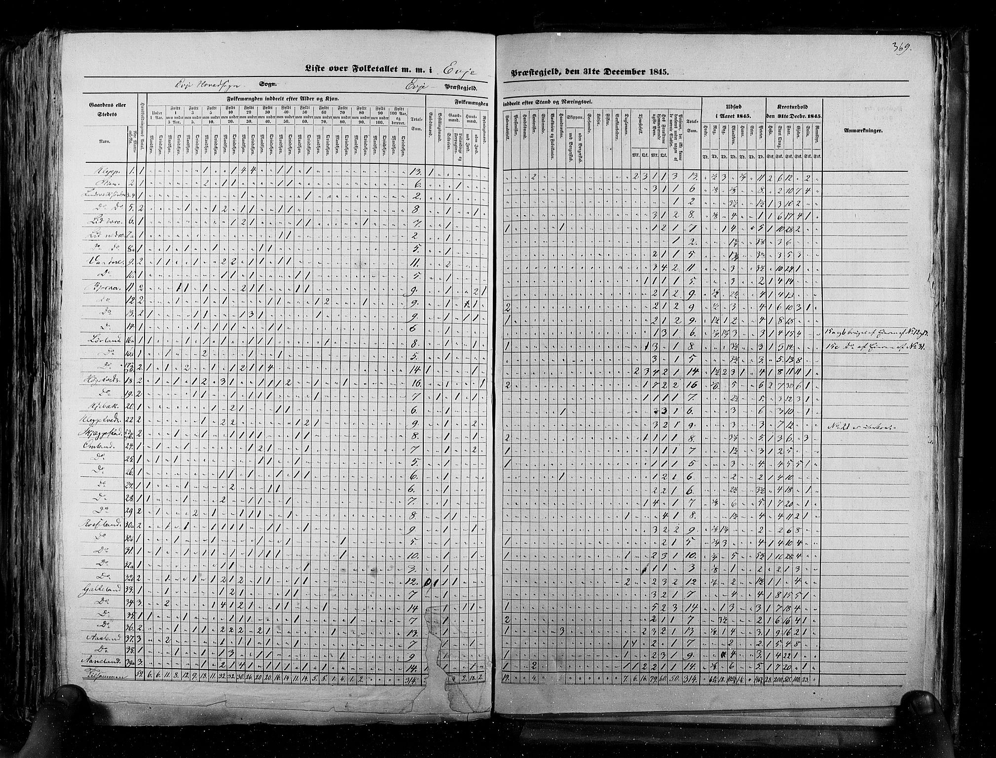 RA, Census 1845, vol. 5: Bratsberg amt og Nedenes og Råbyggelaget amt, 1845, p. 369