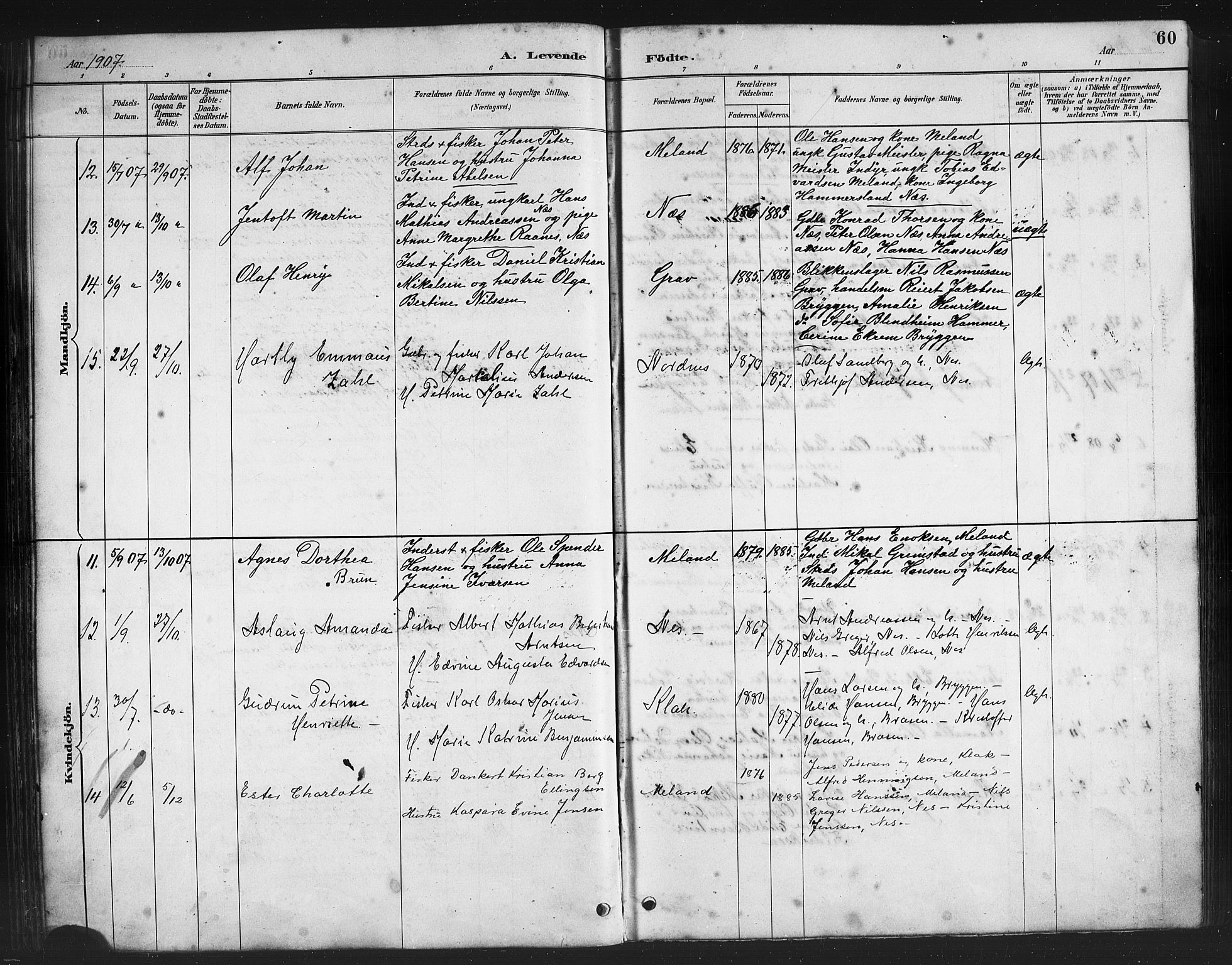 Ministerialprotokoller, klokkerbøker og fødselsregistre - Nordland, AV/SAT-A-1459/808/L0131: Parish register (copy) no. 808C02, 1879-1919, p. 60