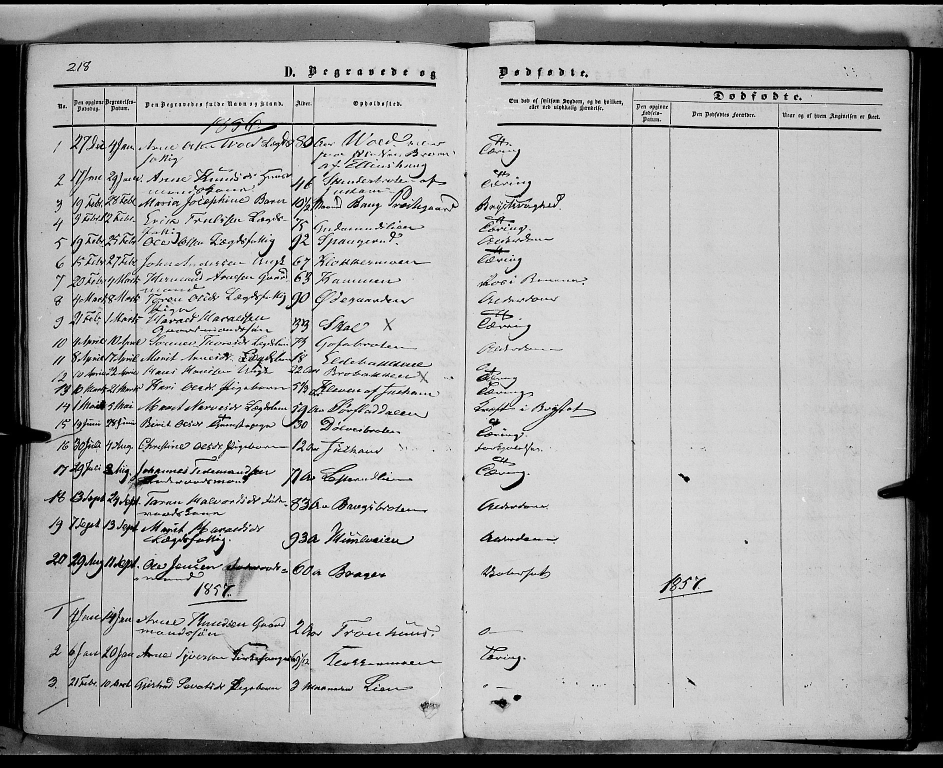 Sør-Aurdal prestekontor, SAH/PREST-128/H/Ha/Haa/L0005: Parish register (official) no. 5, 1849-1876, p. 218