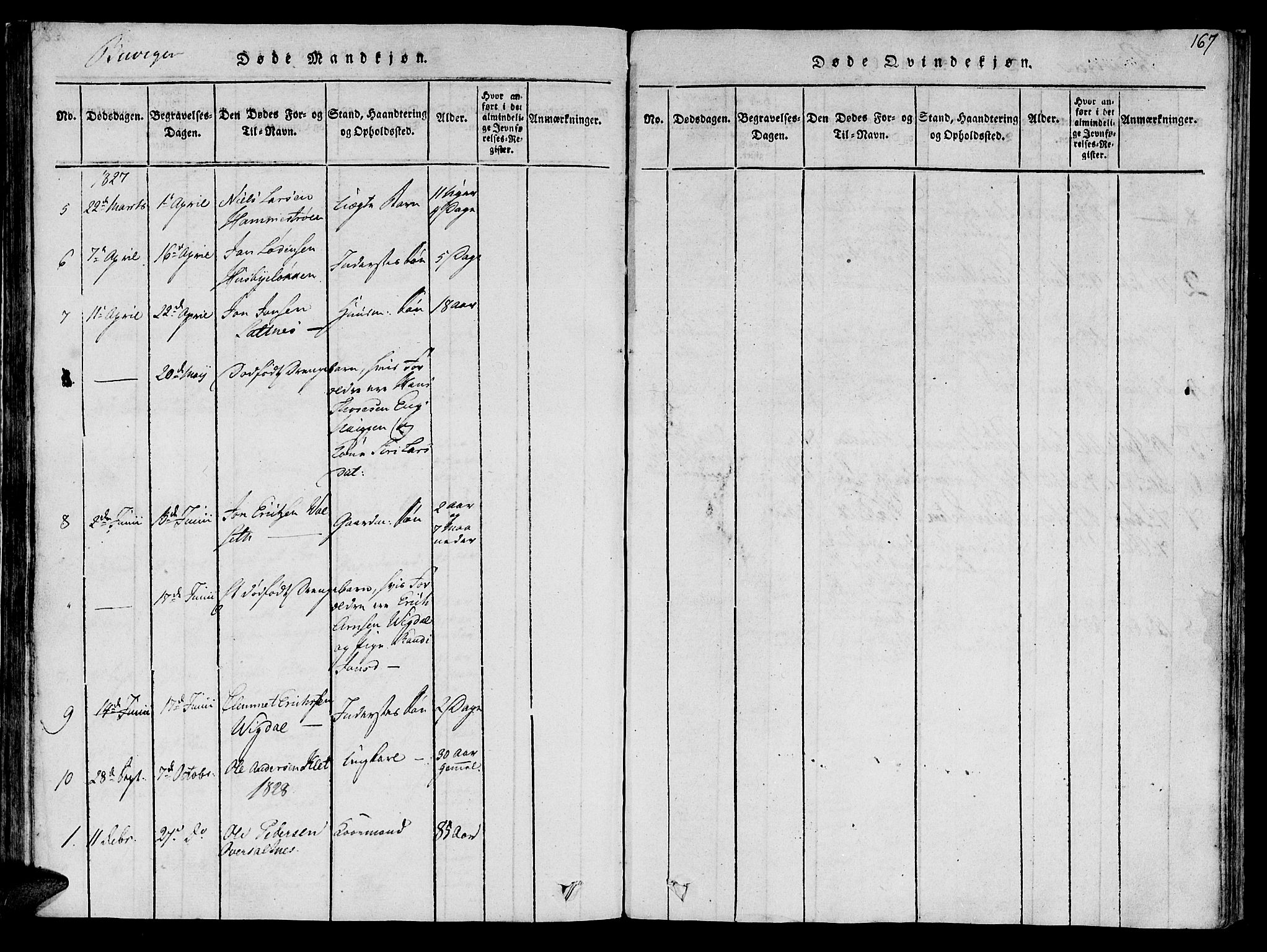 Ministerialprotokoller, klokkerbøker og fødselsregistre - Sør-Trøndelag, SAT/A-1456/612/L0373: Parish register (official) no. 612A06 /2, 1816-1828, p. 167