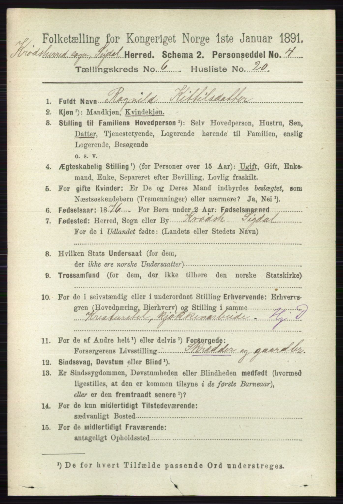 RA, 1891 census for 0621 Sigdal, 1891, p. 6766