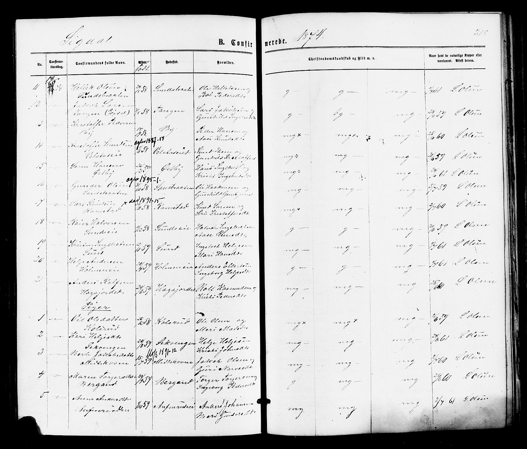 Sigdal kirkebøker, SAKO/A-245/F/Fa/L0010: Parish register (official) no. I 10 /1, 1872-1878, p. 218
