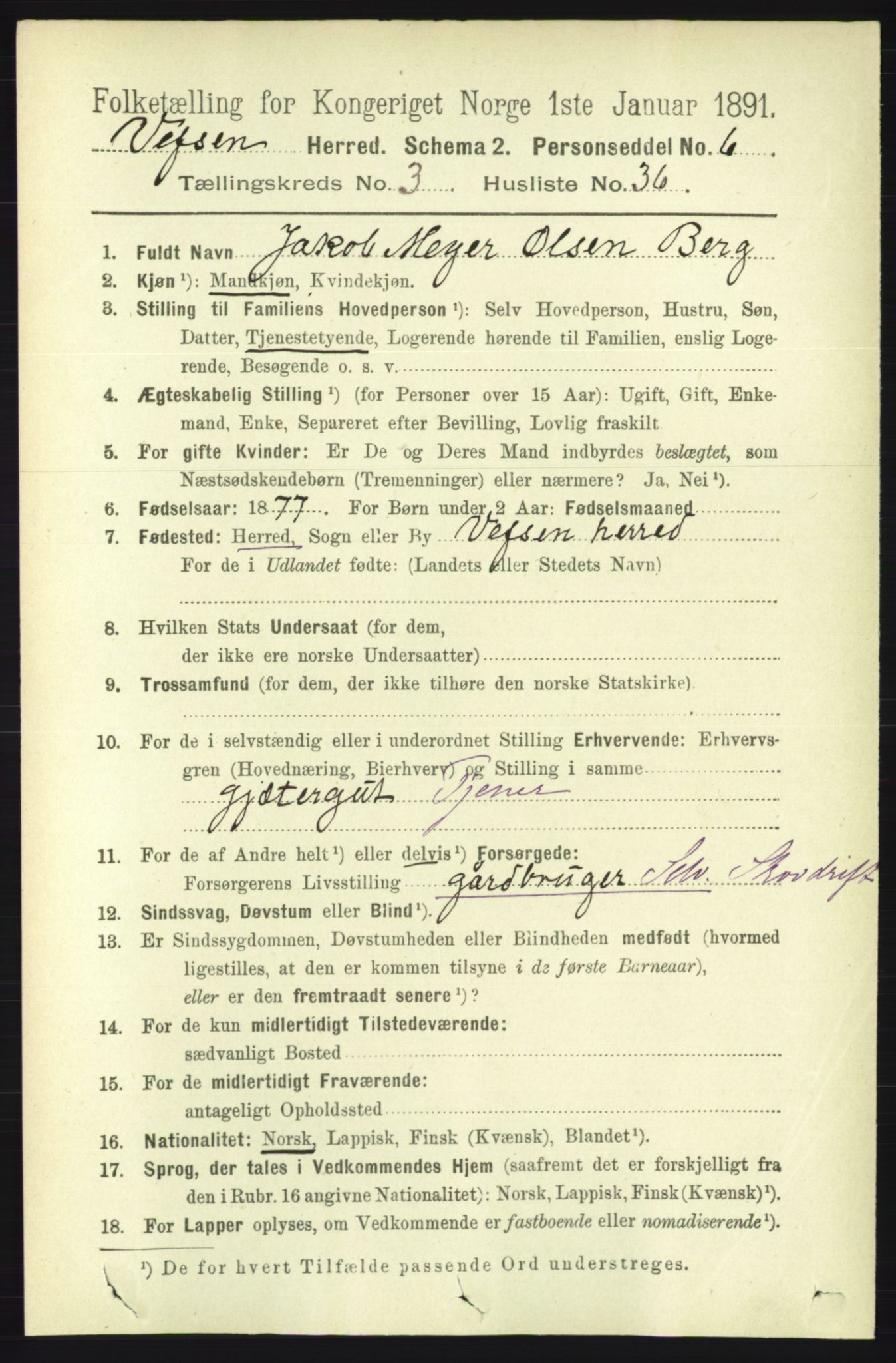 RA, 1891 census for 1824 Vefsn, 1891, p. 1532